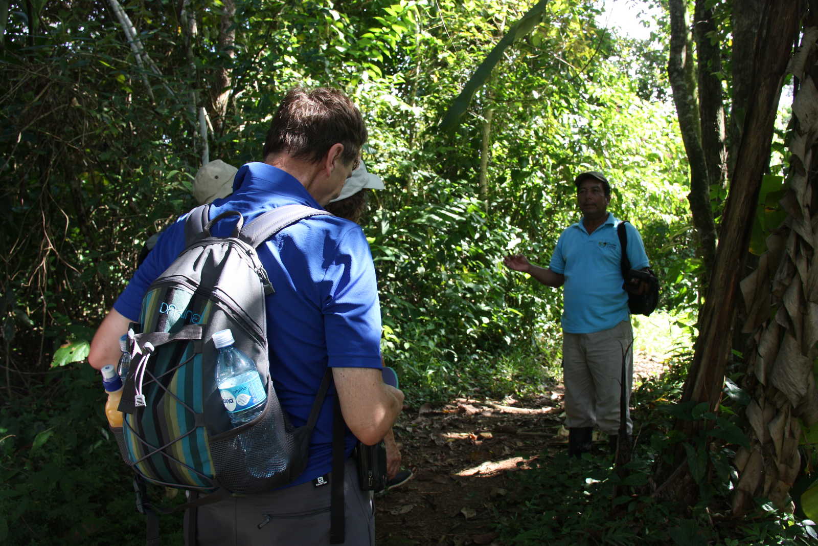 Explications du guide dans une forêt tropicale © Petin Olivier