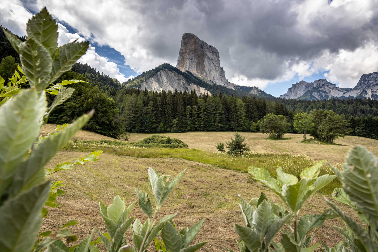 Image Trek itinérant dans le Vercors : Hauts Plateaux et Mont Aiguille - Voyage France
