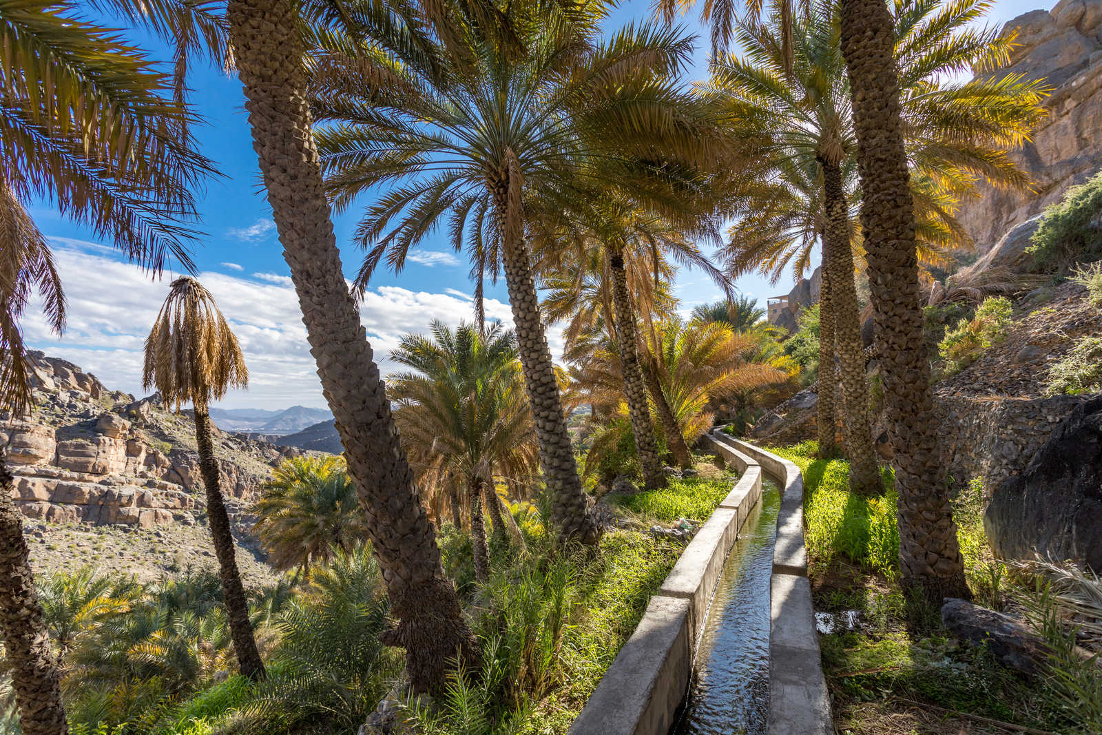 Falaj dans la palmeraie à Misfat, Oman © Giacomo