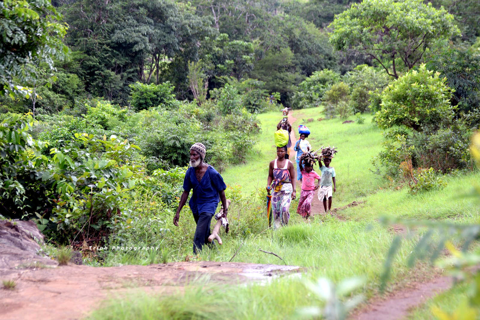 Famille locale au retour du champ en Guinée © Tripb Photography