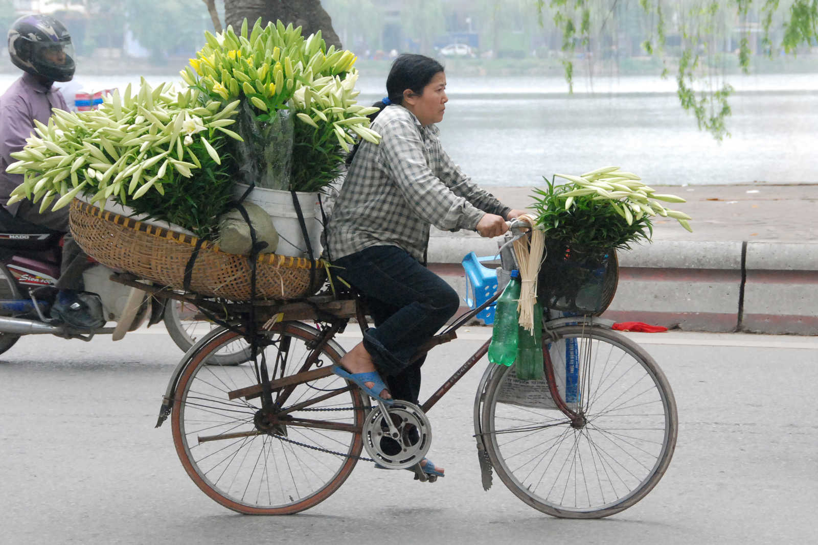 Femme faisant du vélo dans les rues d'Hanoï au Vietnam © Coston Jean-Pierre
