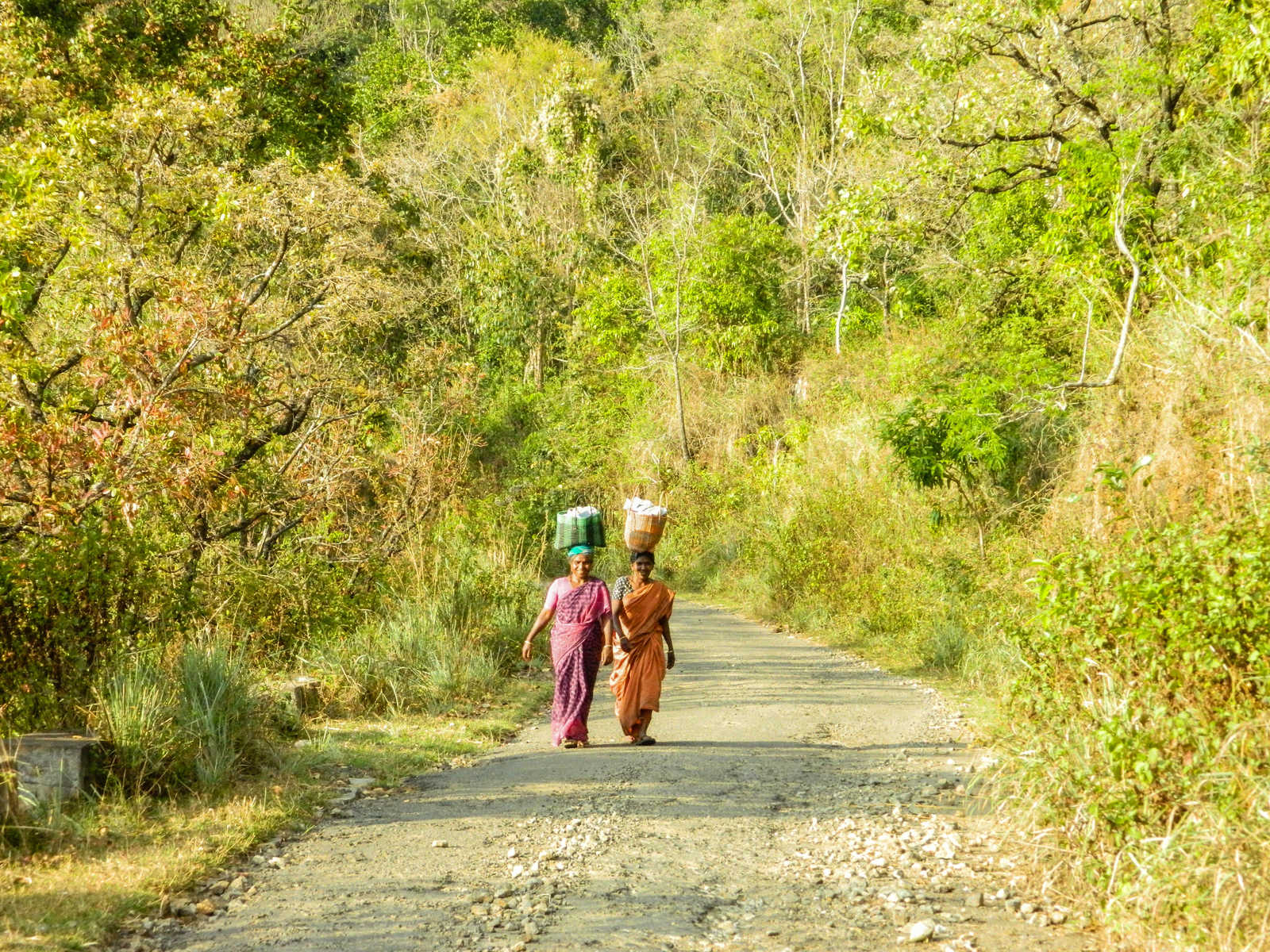 femmes porteuses en Inde © Shakya Rajeev