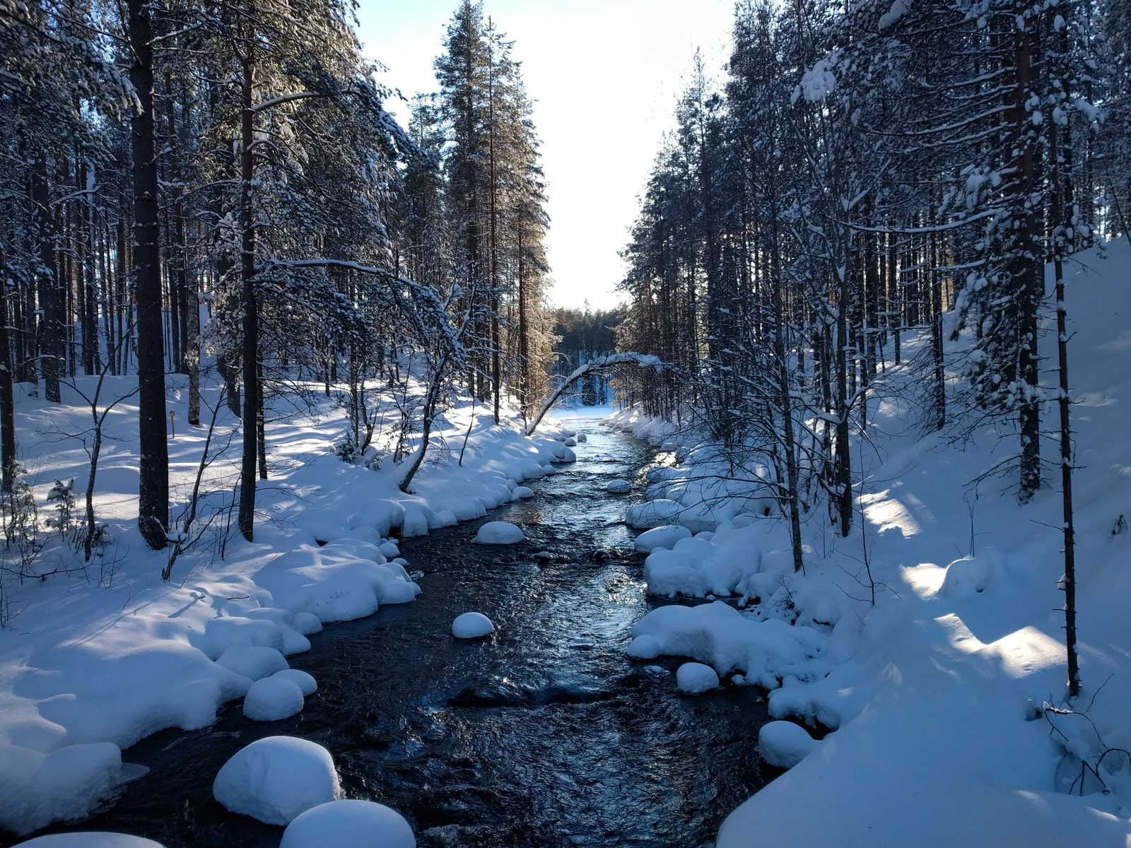 Finlande l'hiver, Laponie © De Fréminville Caroline
