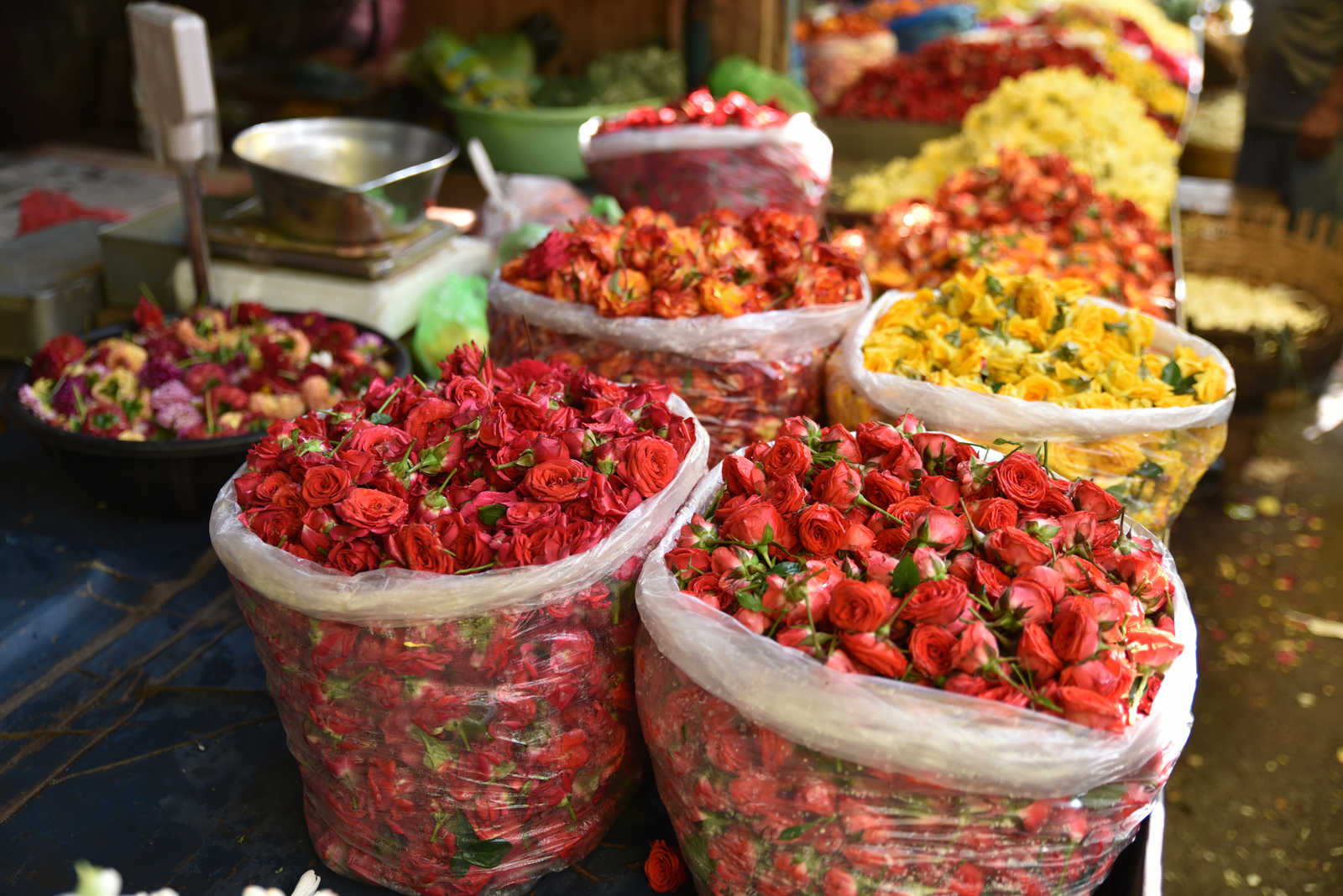 Fleurs en vrac au marché de Pondichéry, Inde du Sud © Jfbruneau