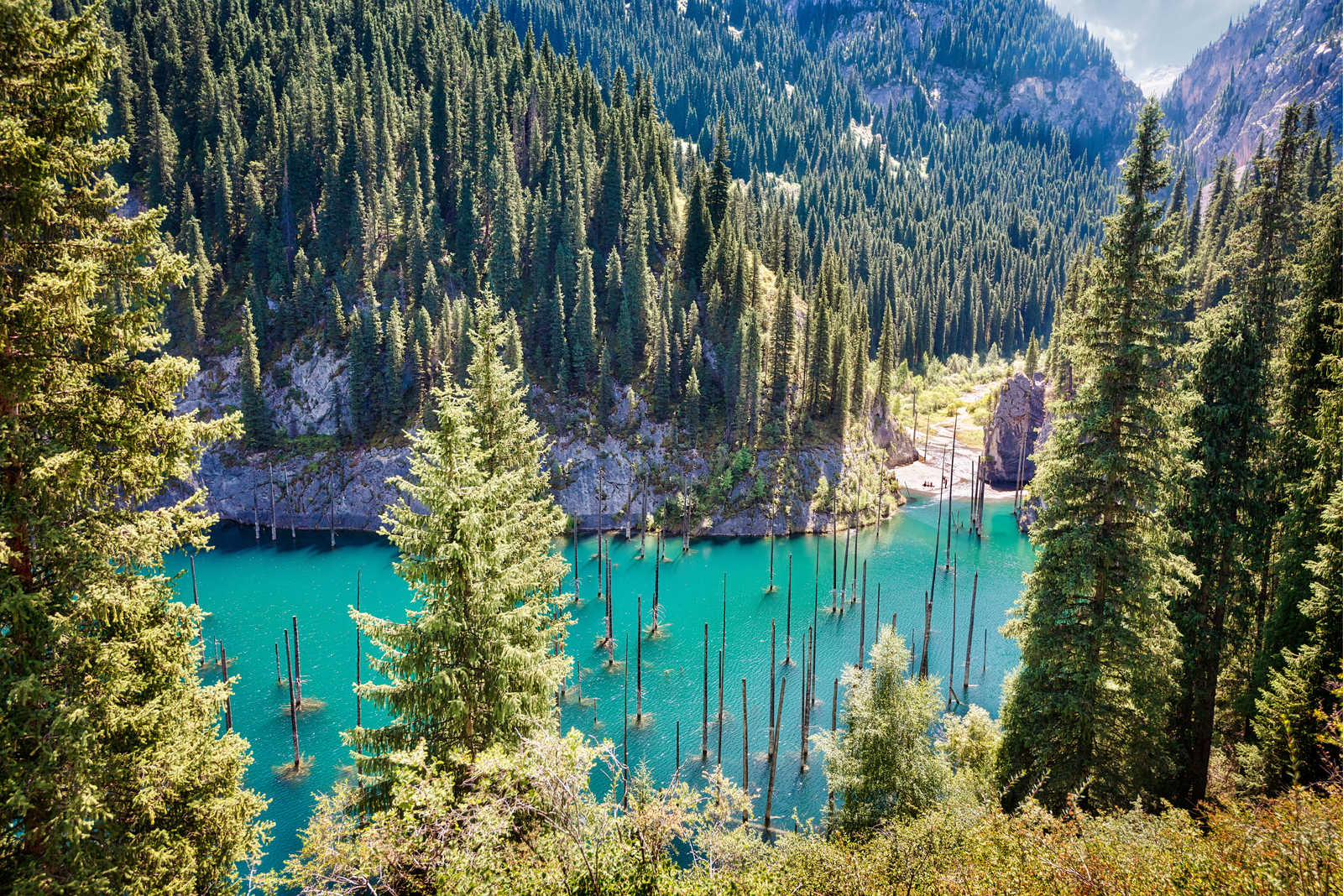 foret-pins-lac-kaindy-kazakhstan © Lukas