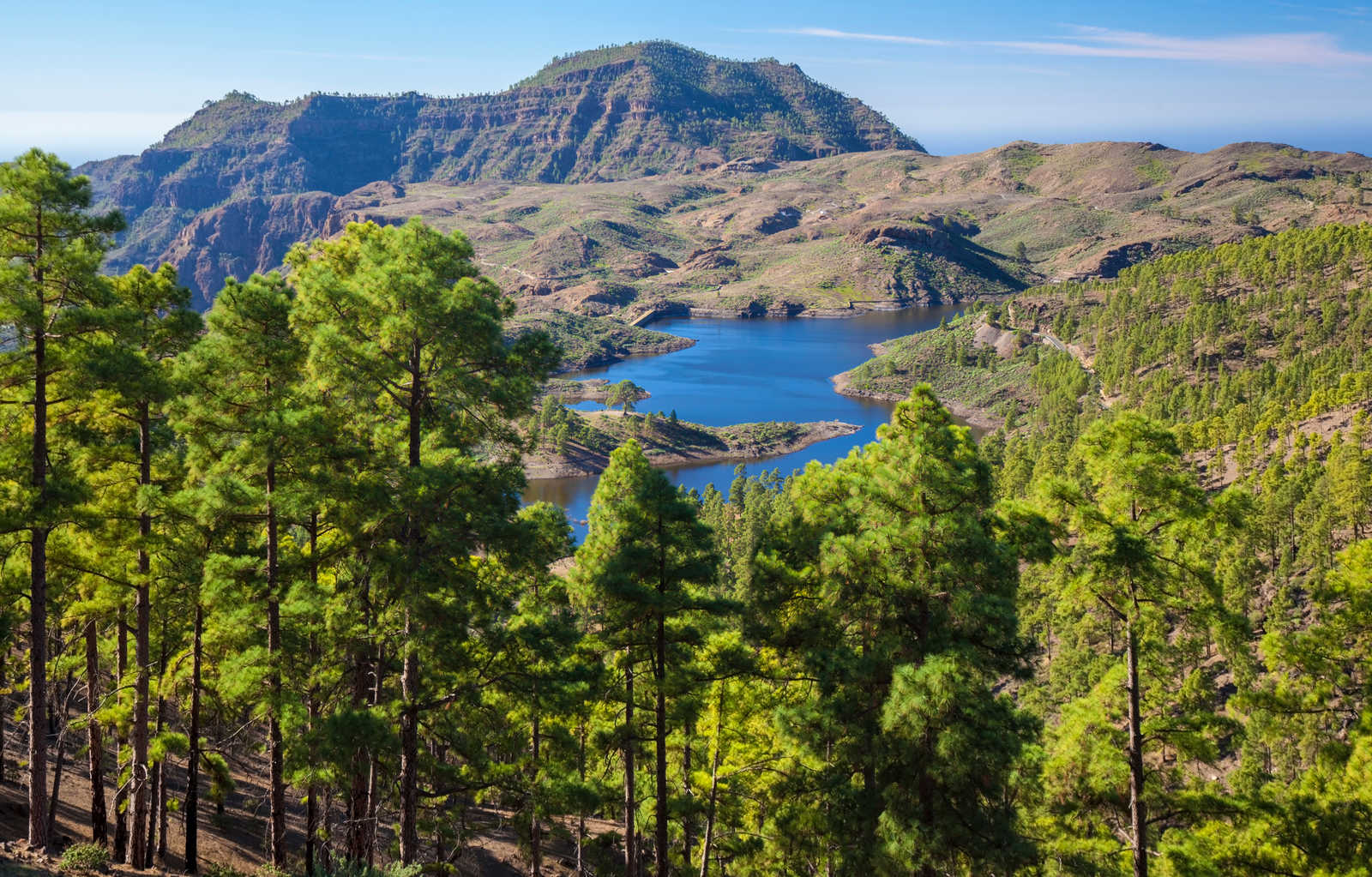 Gran Canaria aux Canaries © Kulikova Tamara