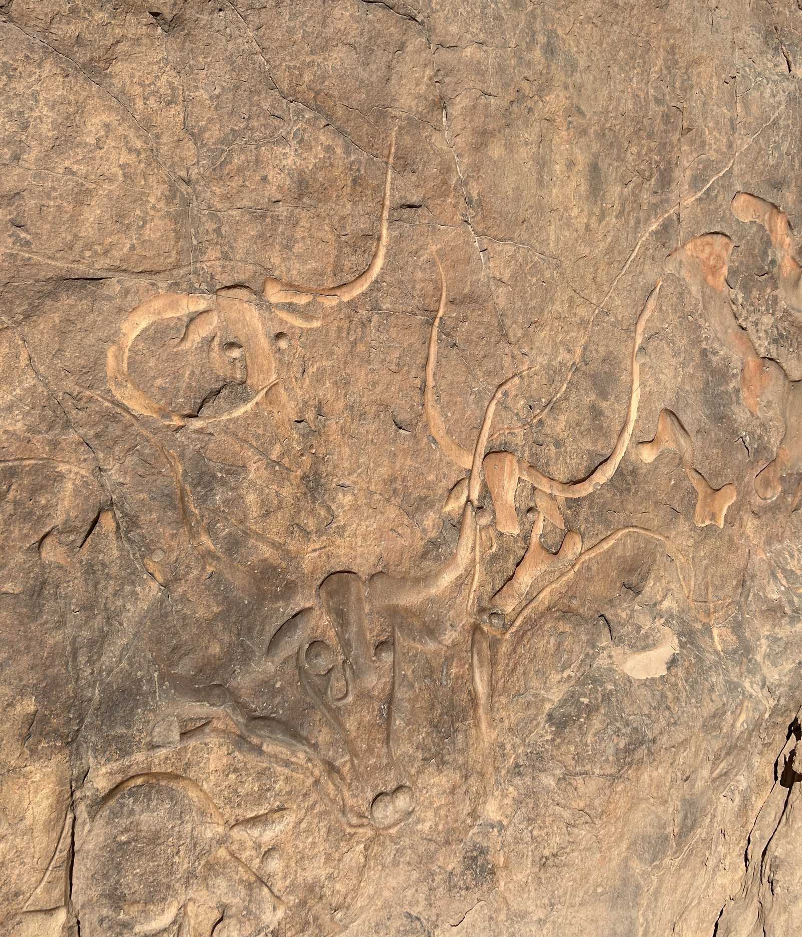 Gravure rupestre dans Tassili N'Ajjer en Algérie © Dufy Caroline