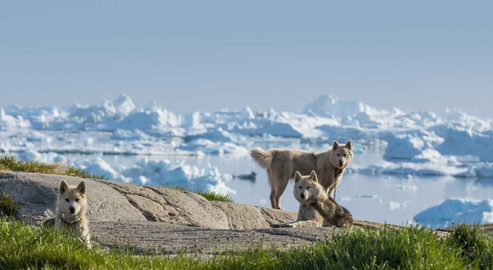Image Le Groenland, c'est Inuit!