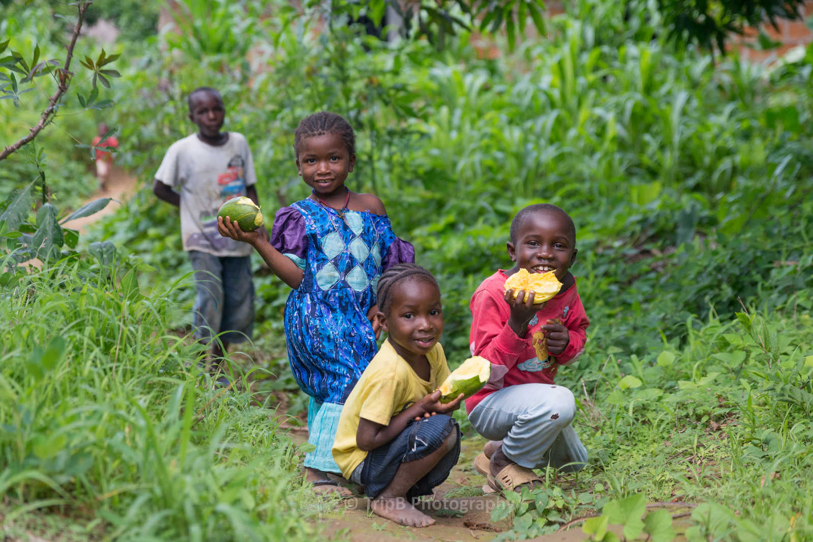Groupe d'enfants qui mangent des mangues en Guinée © Tripb Photography