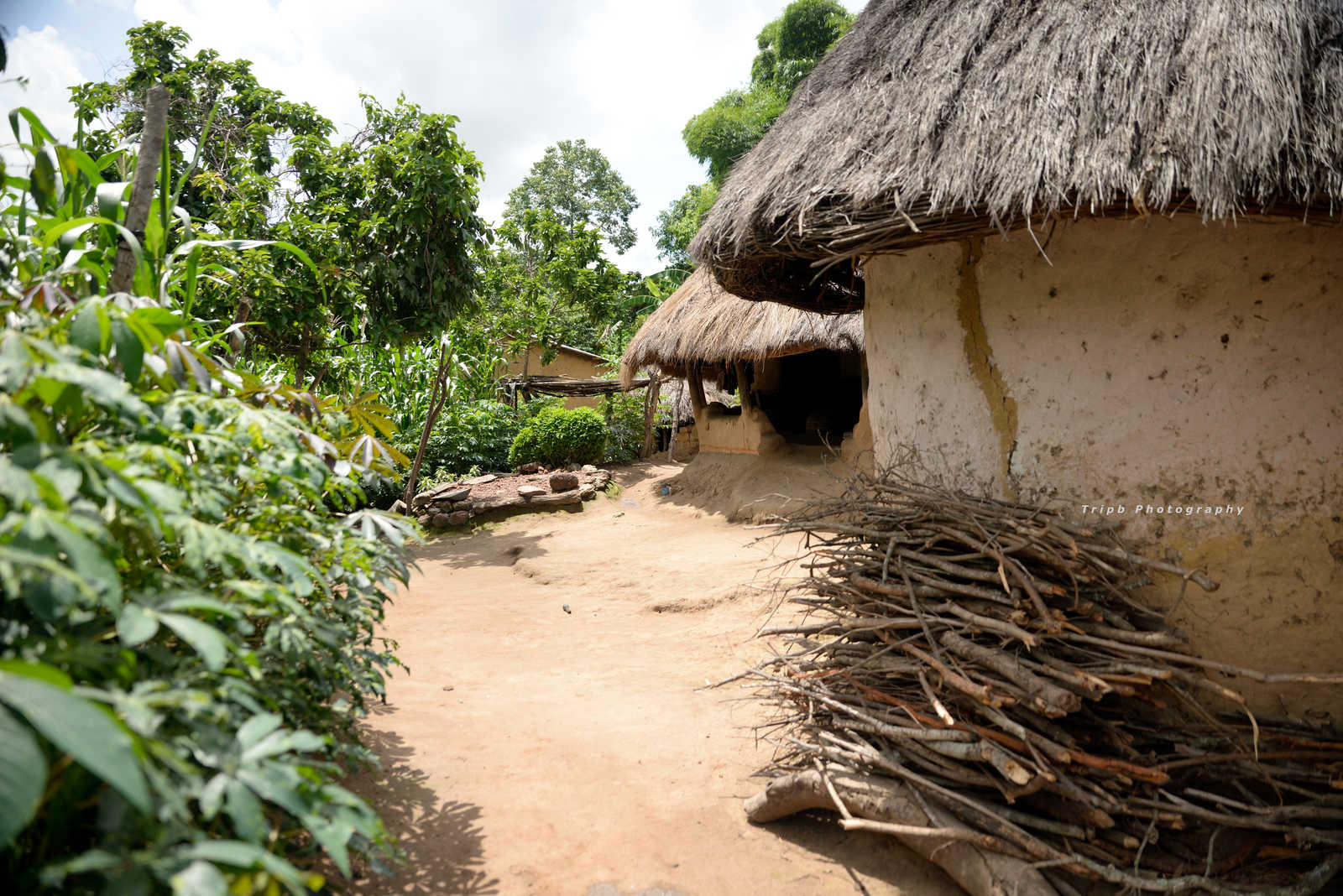 Habitations traditionnelles à Ainguel en Guinée © Tripb Photography