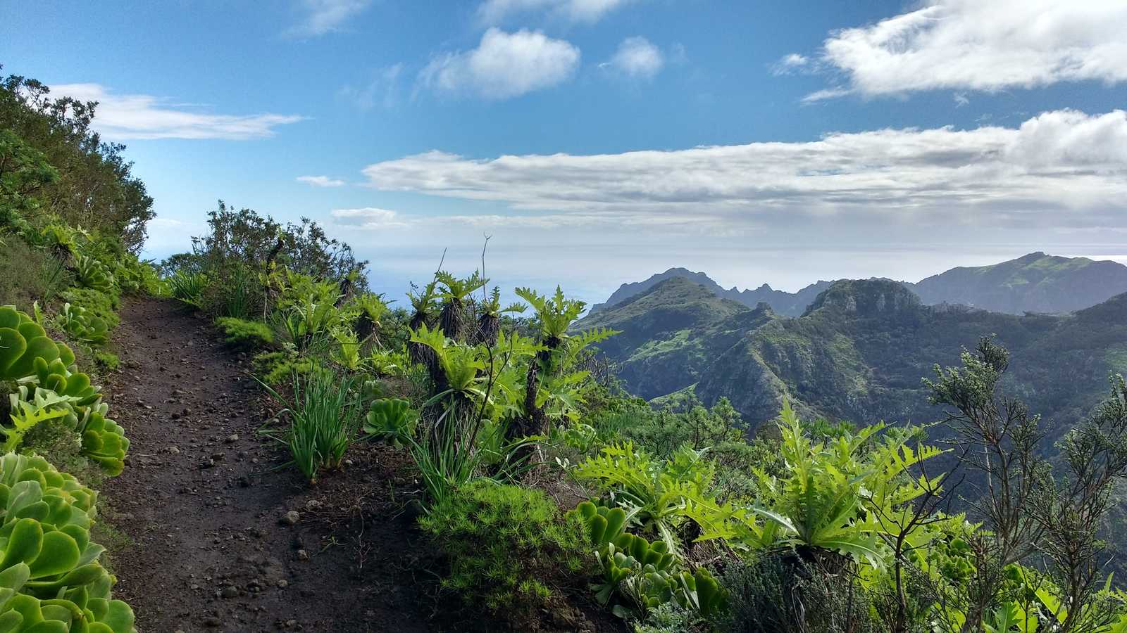 Image Tenerife et la Gomera par les sommets