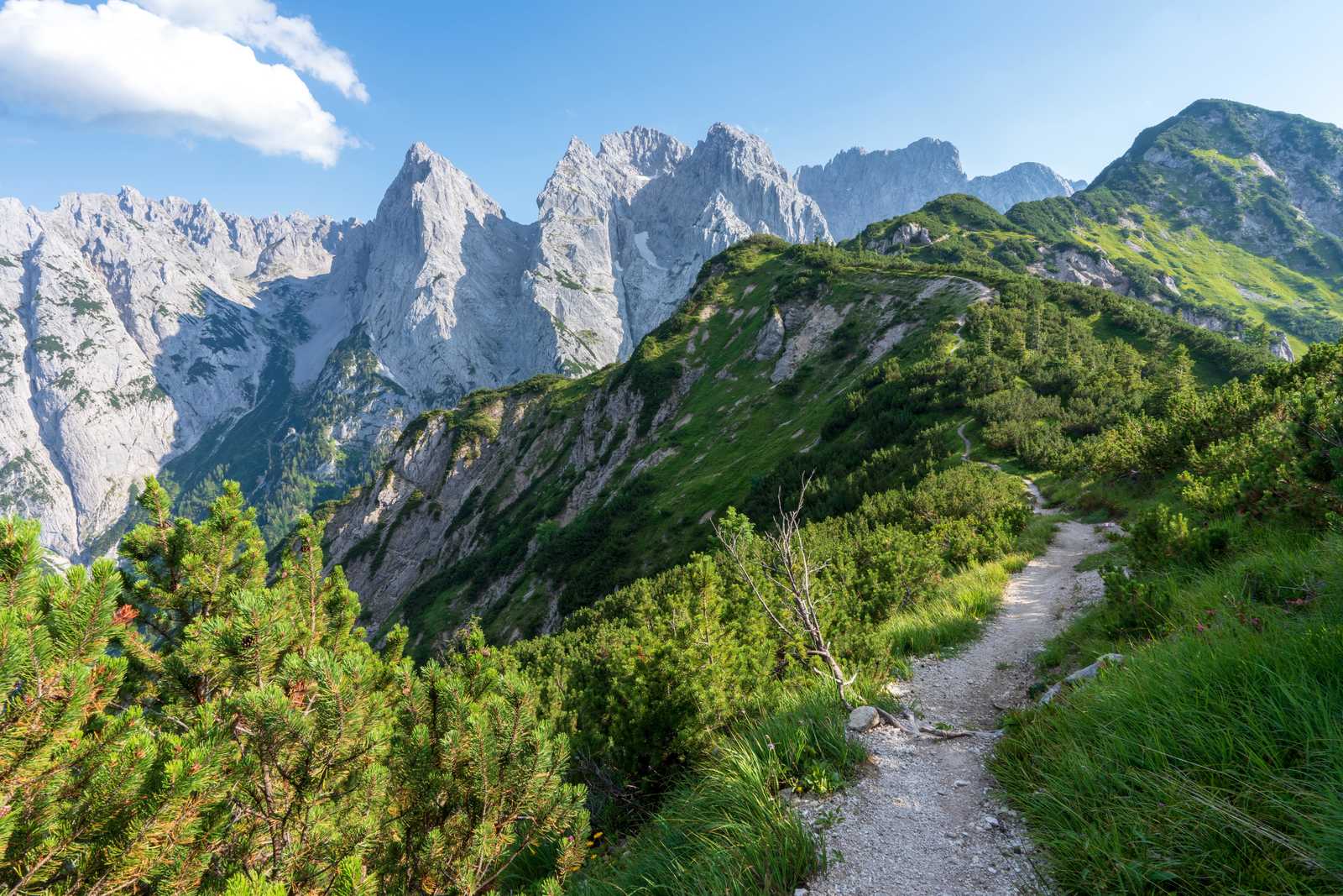 Kaiserbachtal, Tyrol © Lexpixelart