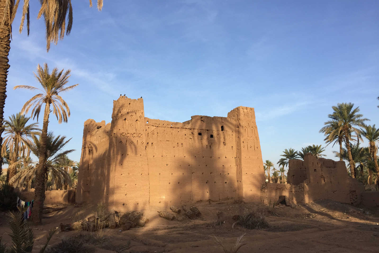 Kasbah dans le désert de Tazzarine au Maroc © Nina