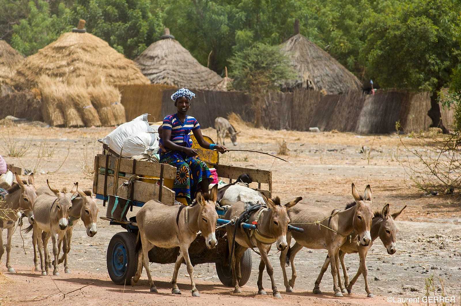 Image Sénégal et Gambie, une aventure africaine avec Théo