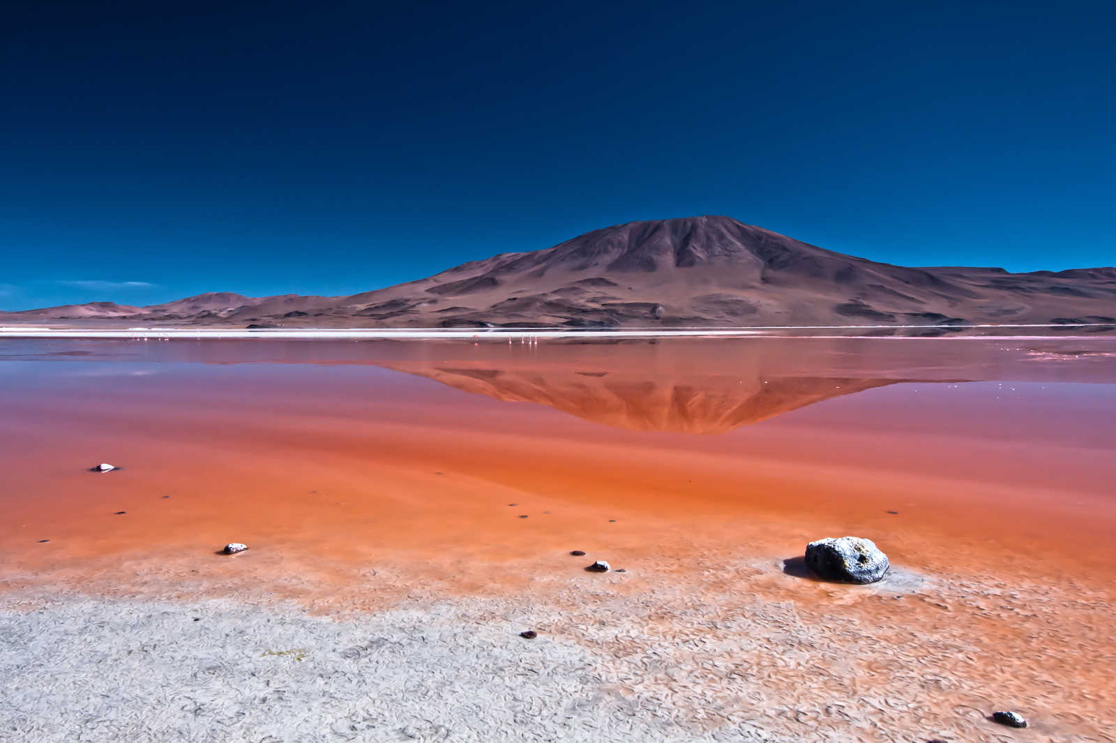 La Laguna Colorada en Bolivie avec ses eaux teintées de rouge reflétant une montagne aride © Kingsman