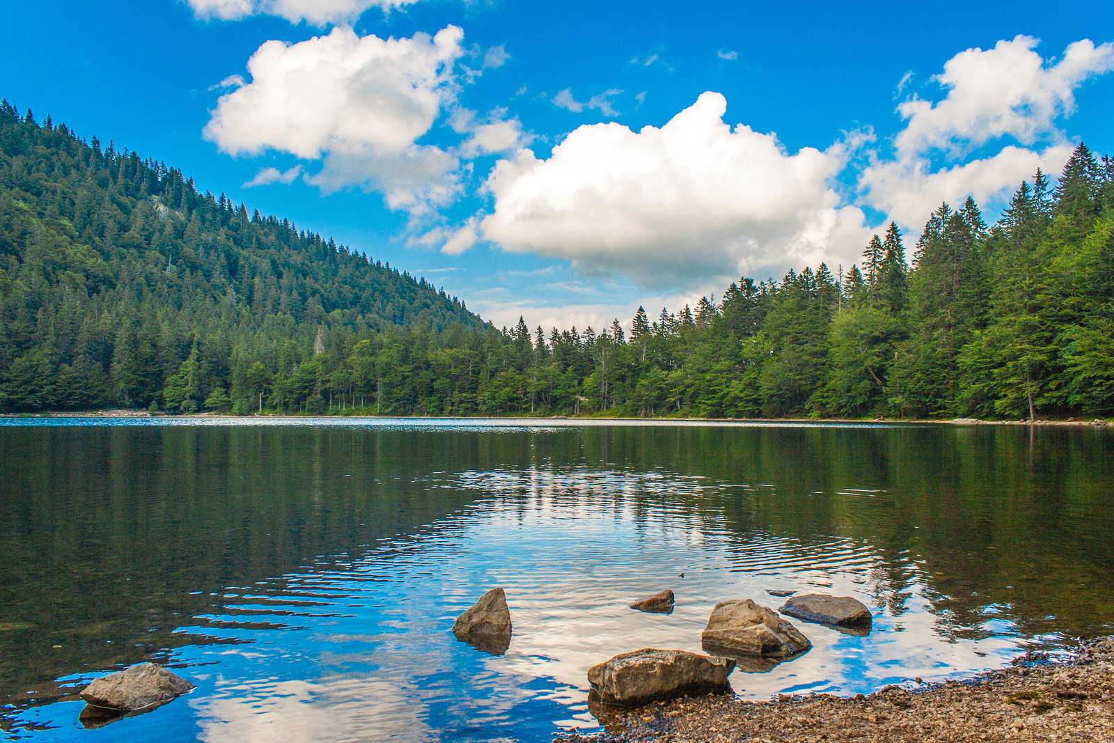 lac-de-montagne-en-foret-feldberg © Havana1234