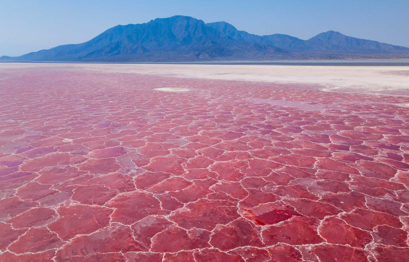 Lac Natron dans la vallée du Rift en Tanzanie. © Juan Carlos Munoz