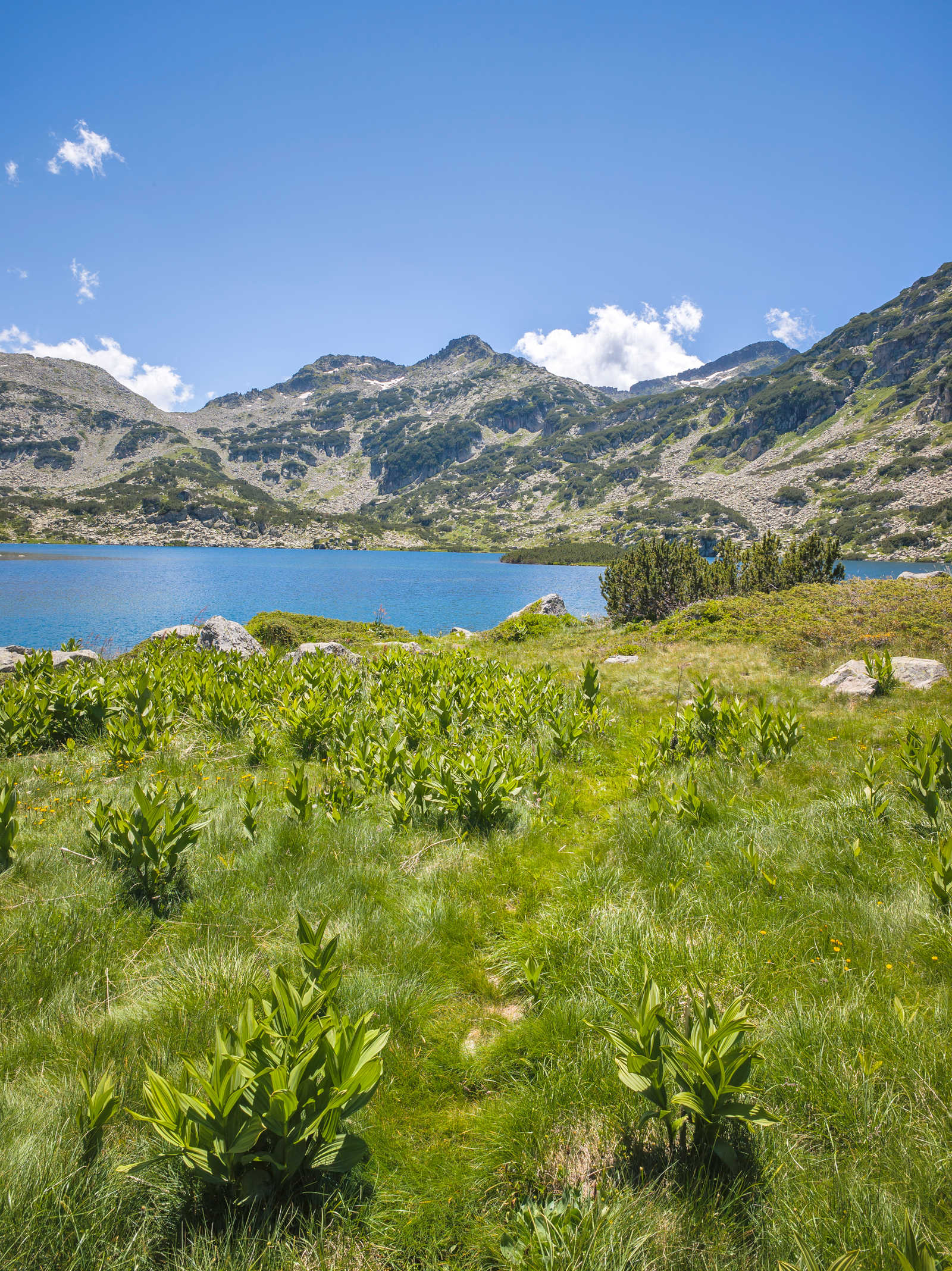 Lac Popovo dans les montagnes du Pirin © Haytov Stoyan