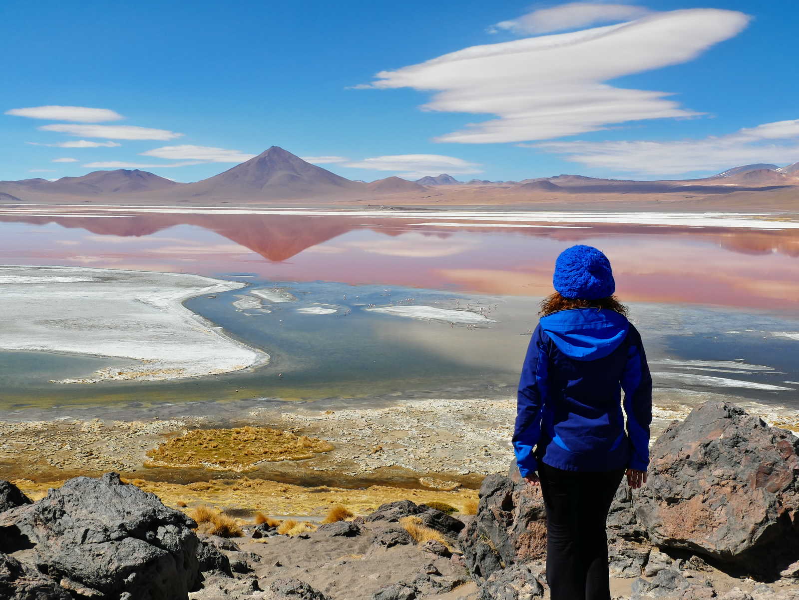 Laguna colorada en Bolivie © Zappa Alex
