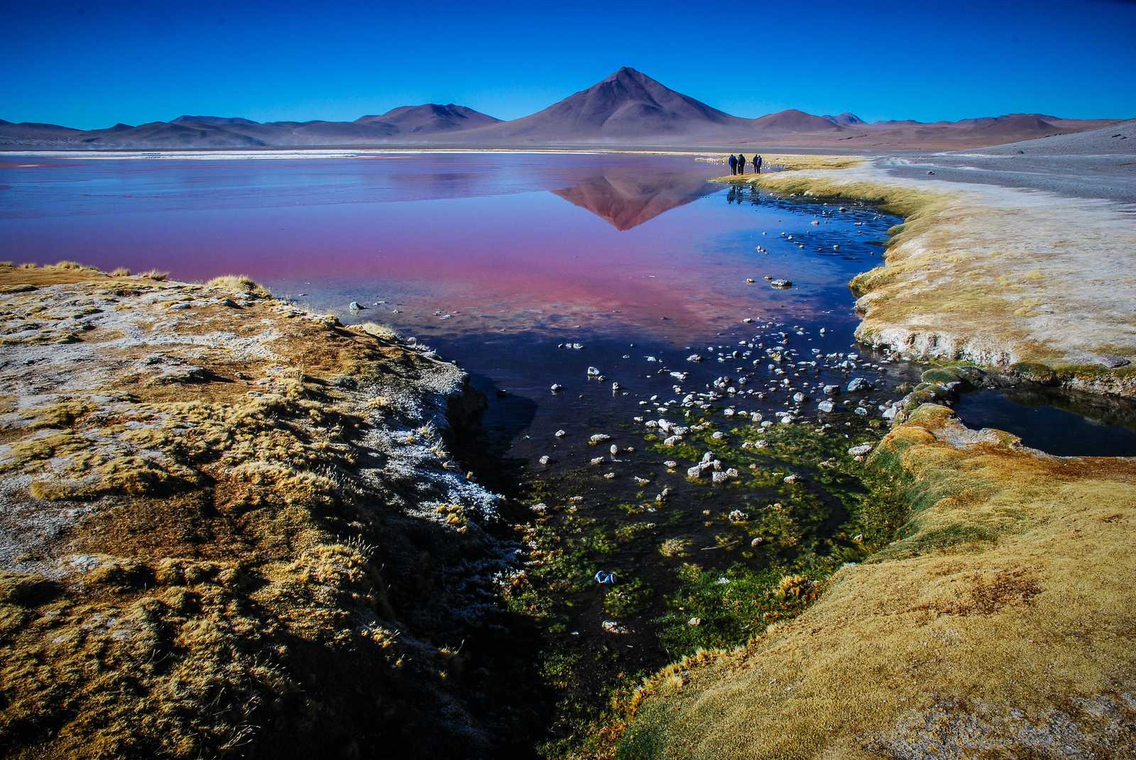 Lagune de l'altiplano © Kruip Hugo