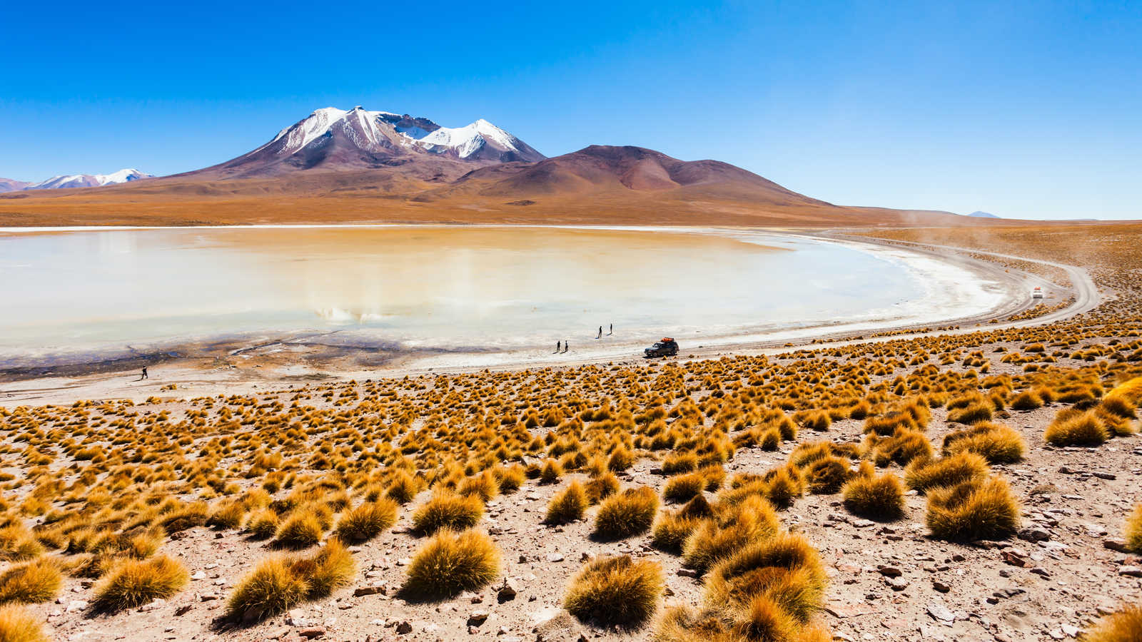 Panorama d'une lagune d'altitude entourée de touffes d'ichu et de montagnes enneigées sous un ciel pur en Bolivie. © Saiko3P