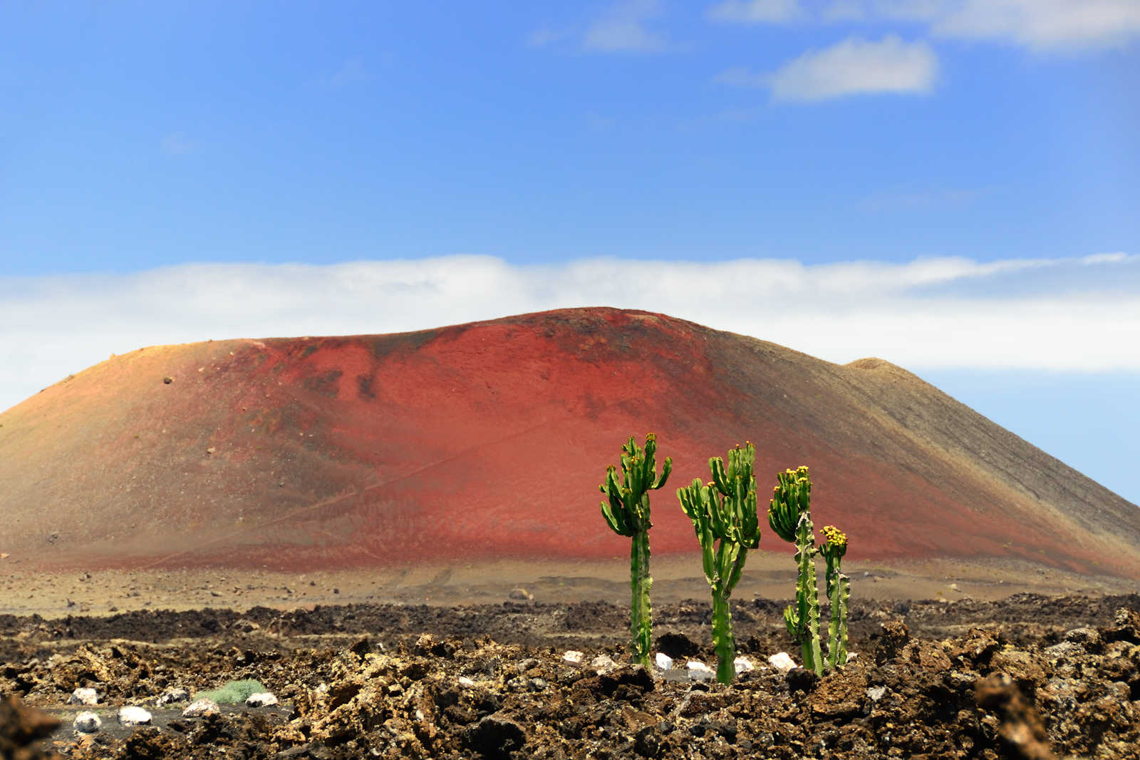 Lanzarote aux Canaries © Oleg Znamenskiy
