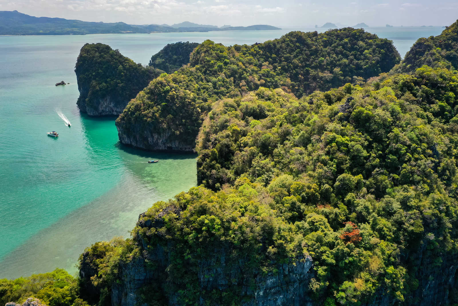 Le parc national de Cat Ba au Vietnam © Joshua P Jacks/wirestock