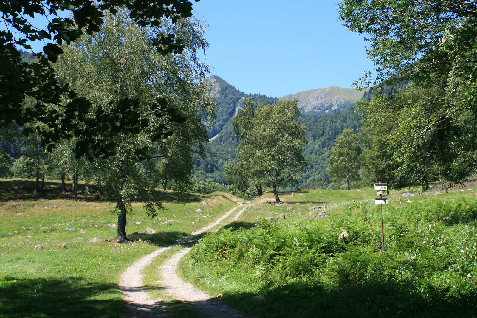 Image Sur les sentiers de rando, de l'Alsace aux Vosges