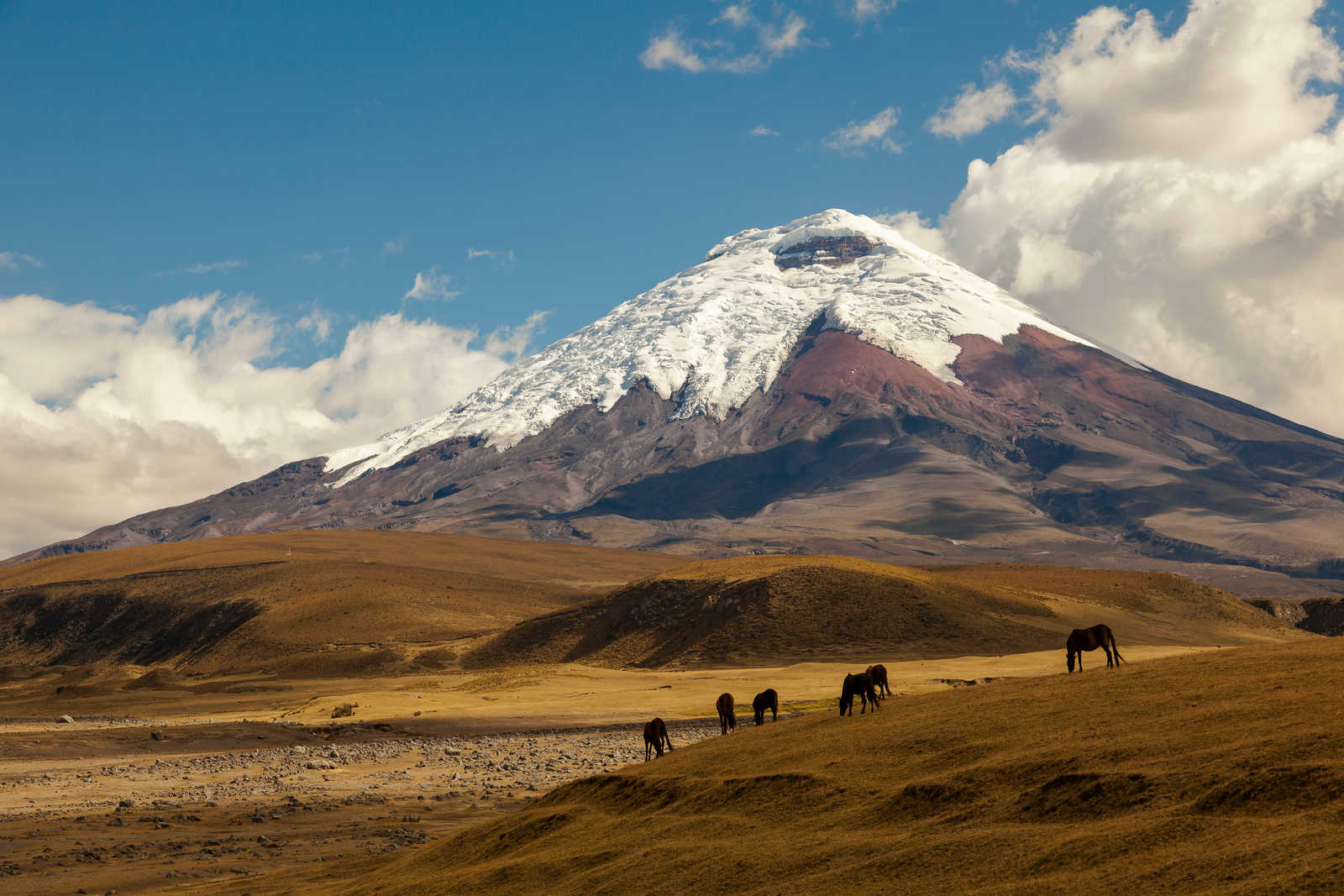 Le volcan Cotopaxi en Equateur © Ecuadorquerido