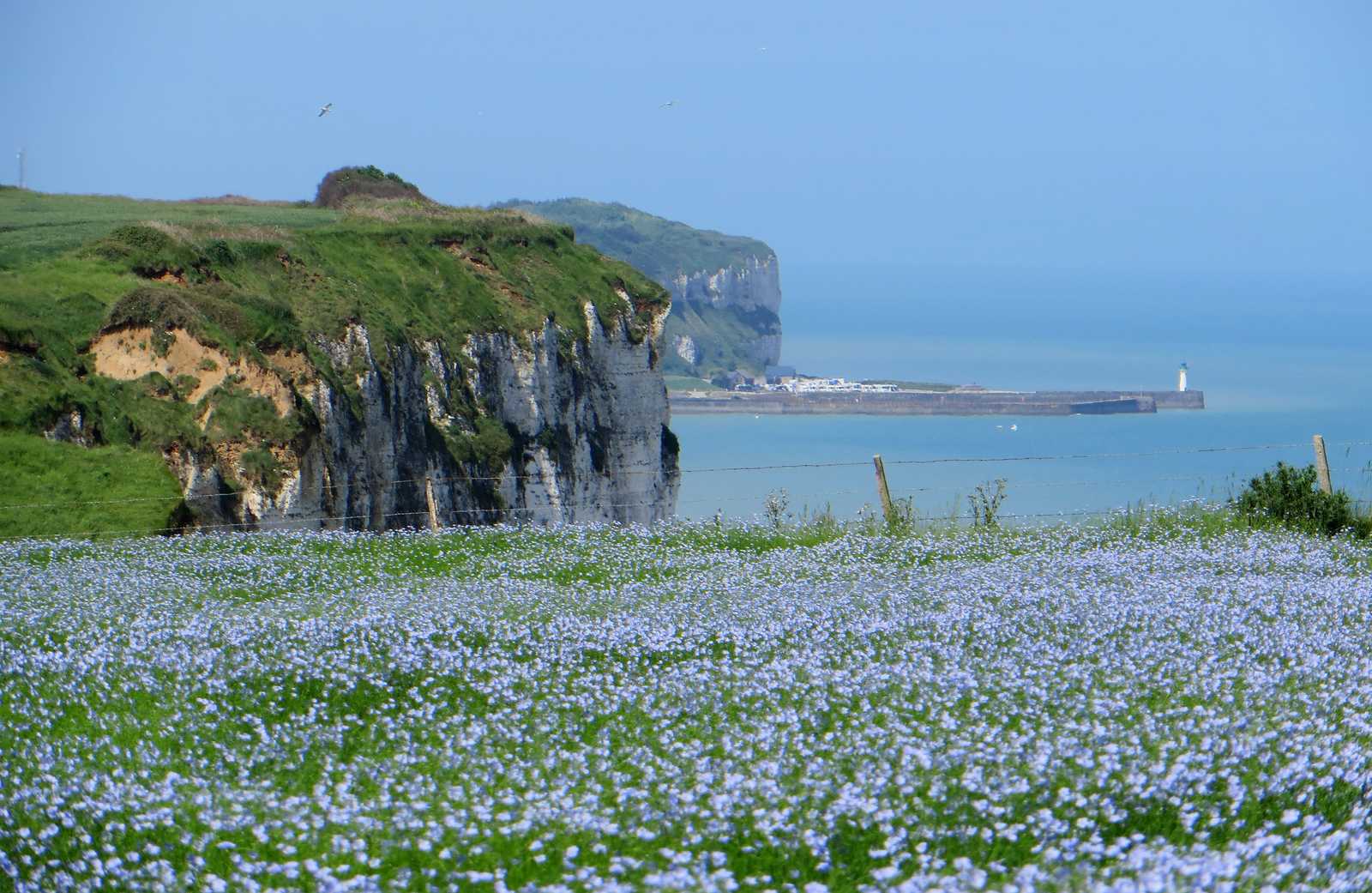 La côte d'Albatre, de Dieppe à Étretat - Voyage Normandie  Atalante