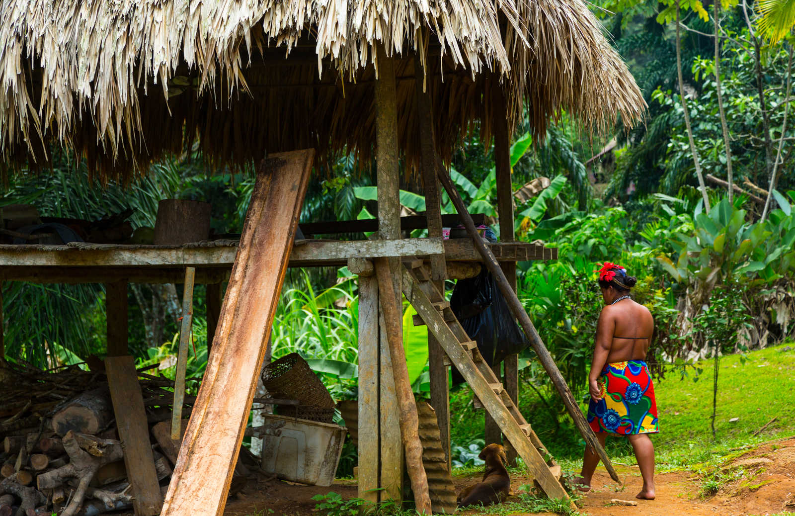 maison traditionnelle embera © Carlos Munoz Juan