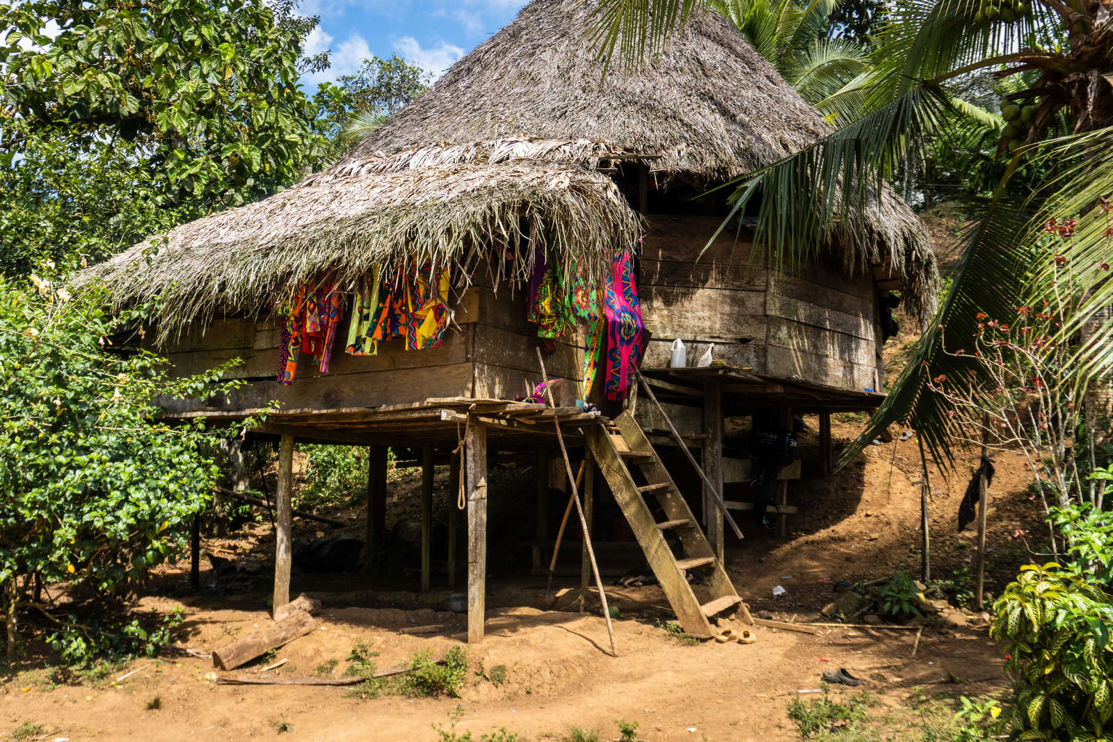 maison traditionnelle embera © Ewy Media