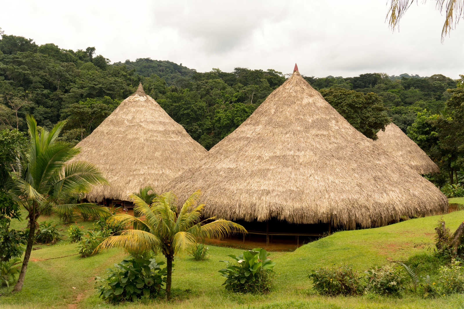 maison traditionnelle embera © Shorex Koss