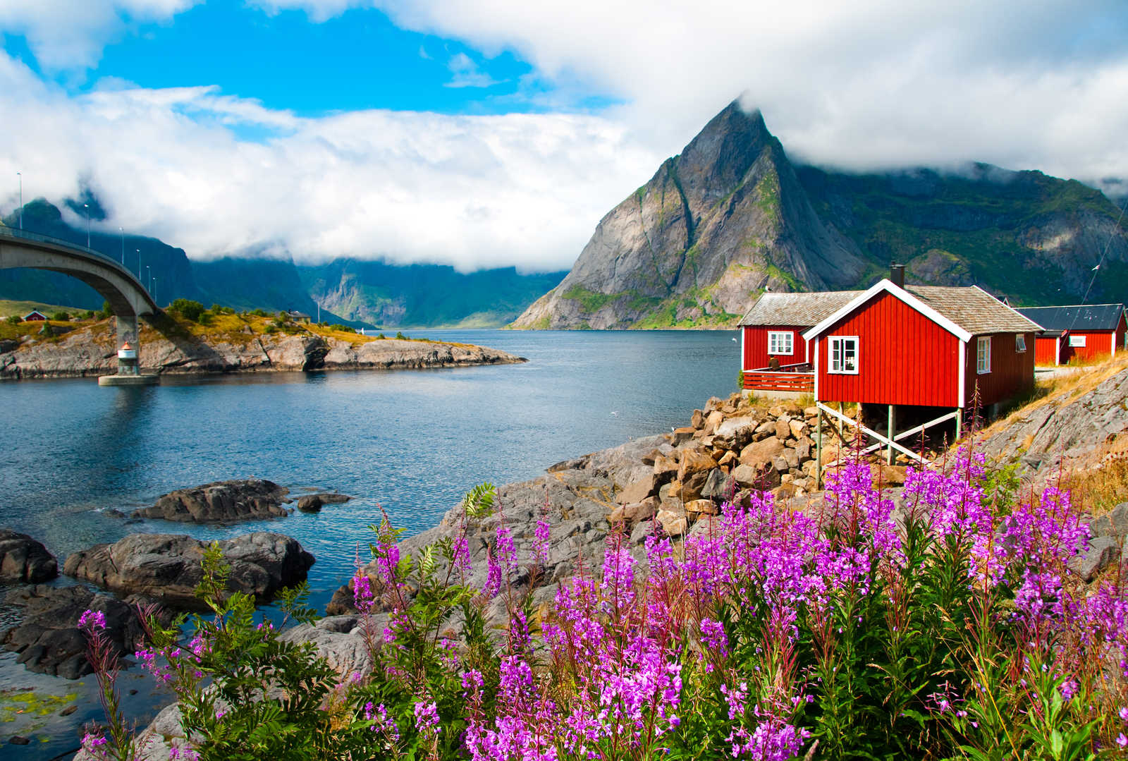 Maisons rouges typiques du village de Reine, îles lofoten, Norvège © Adobe Stock