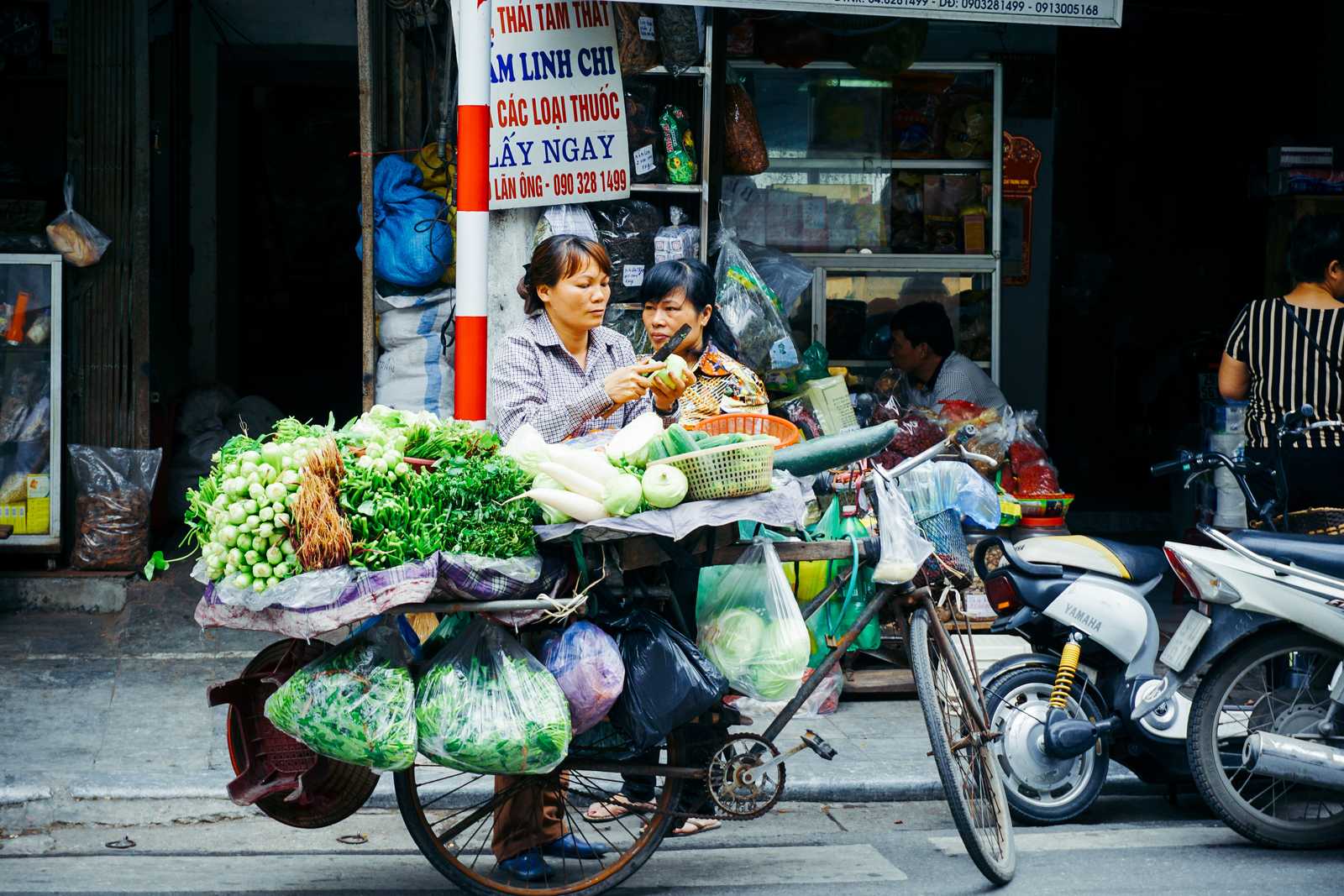 Marchande ambulante à vélo de légumes à Hanoï au Vietnam © Young Jack