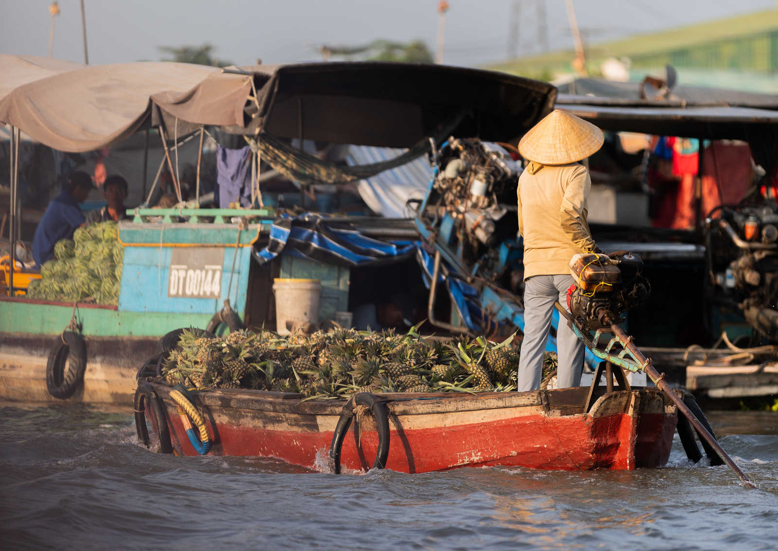 marchands d'ananas sur le Delta du Mekong au Vietnam © Autran Olivier