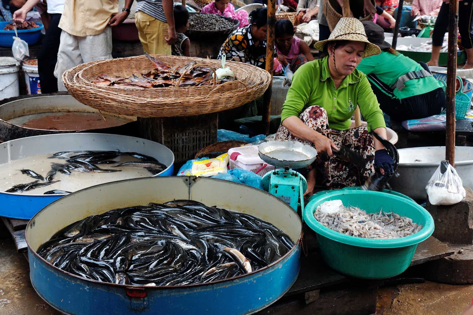 marché au poisson  au cambodge © G. ROHART