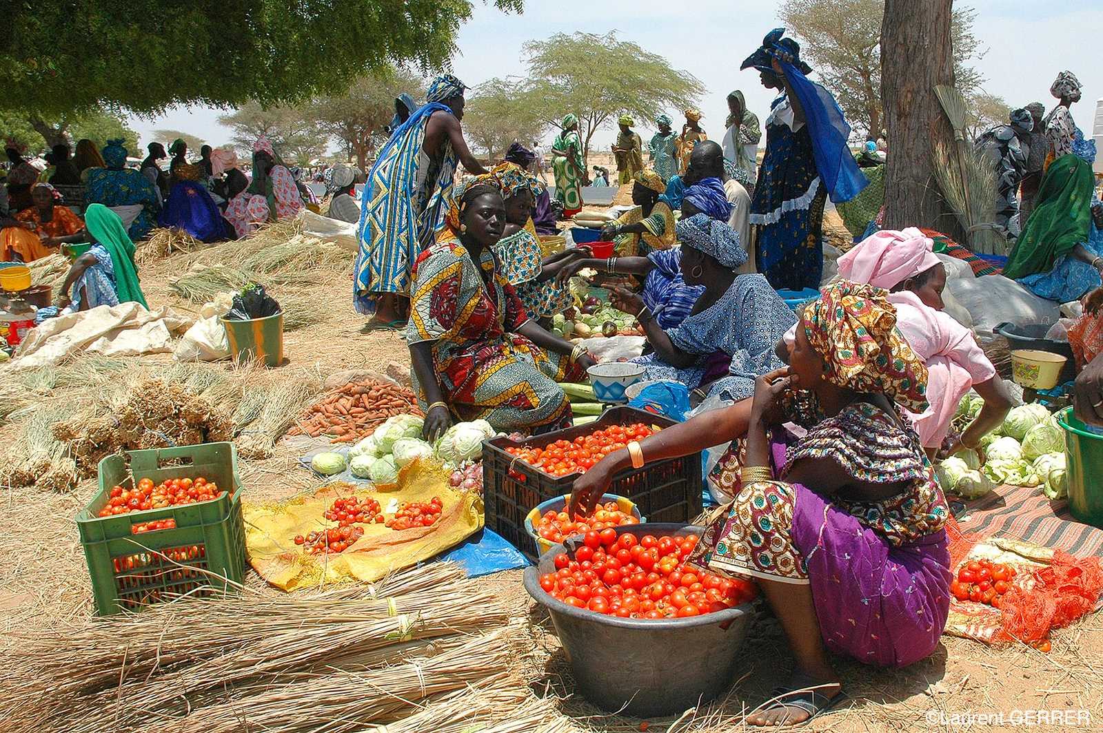 Marché de brousse au Sénégal © Origin Africa