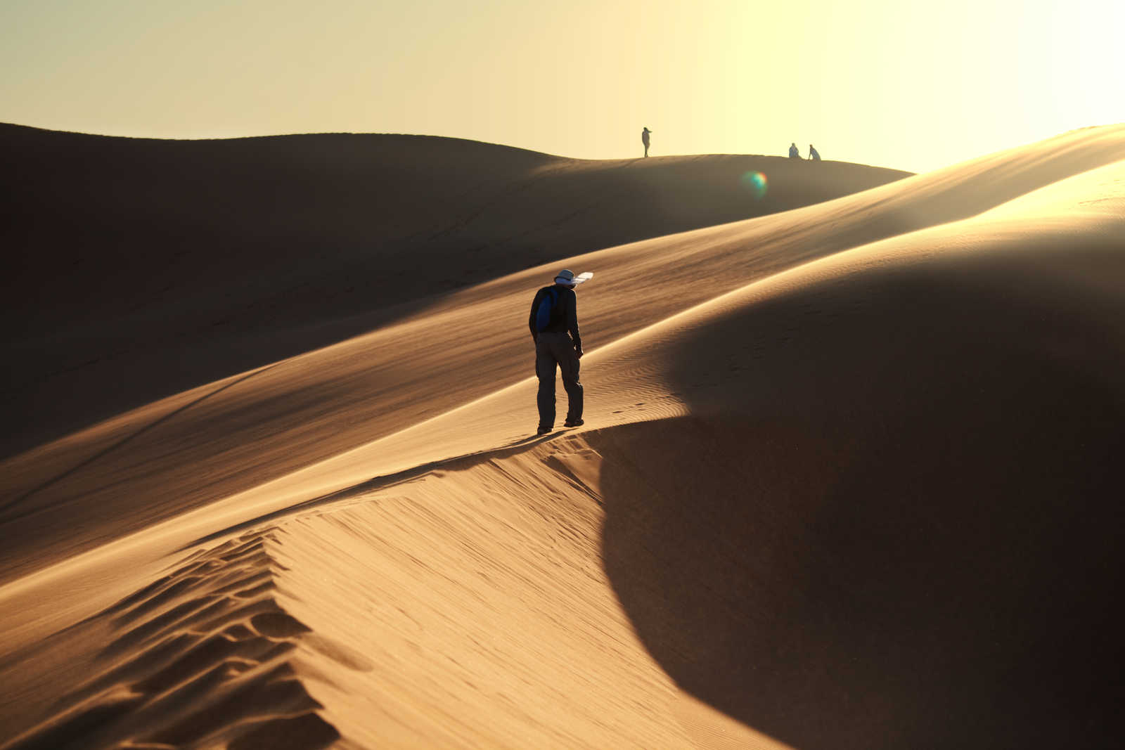 Désert Du Namib, Faune Sauvage Et Océan (en Lodge) - Voyage Namibie ...