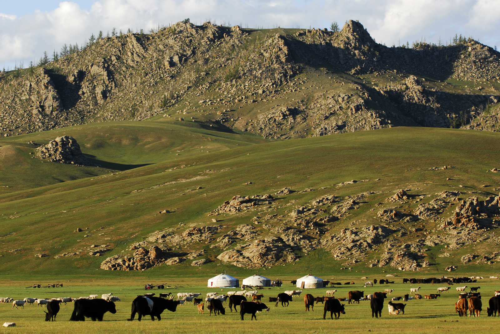 Image Steppes du Terelj et désert de Gobi par le train