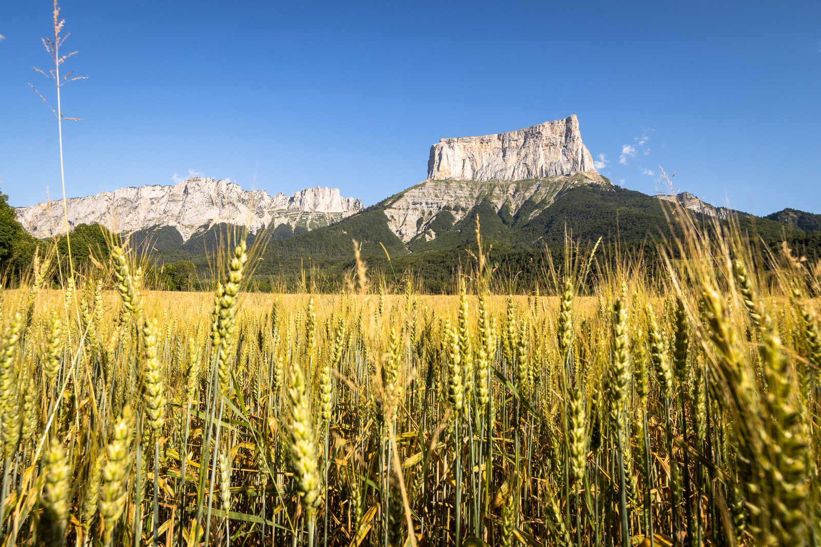 Image Trek itinérant dans le Vercors : Hauts Plateaux et Mont Aiguille - Voyage France