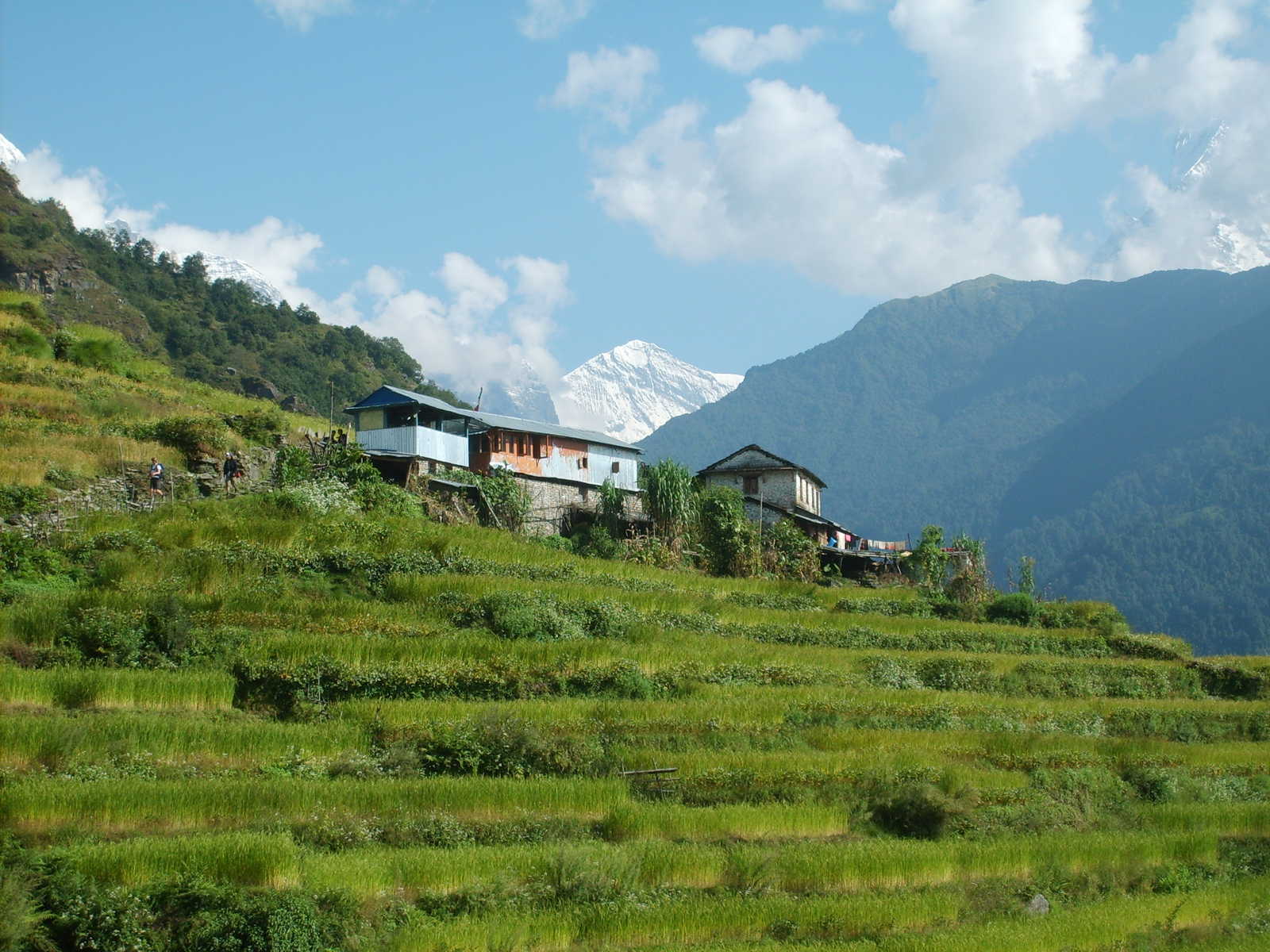 Image Le tour des Annapurnas