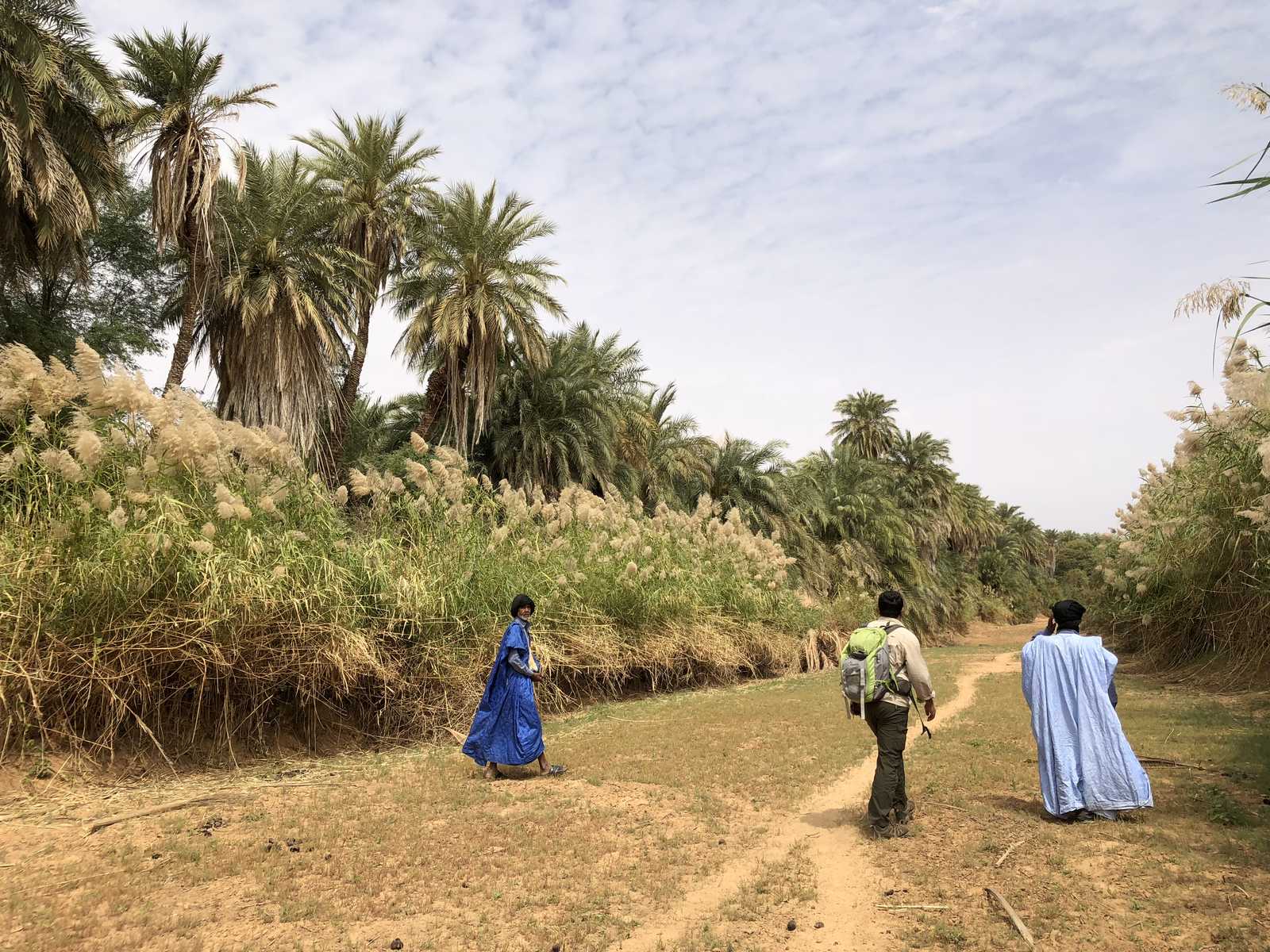 Oasis Azouaiga, Mauritanie © Martin Laprade Nicolas