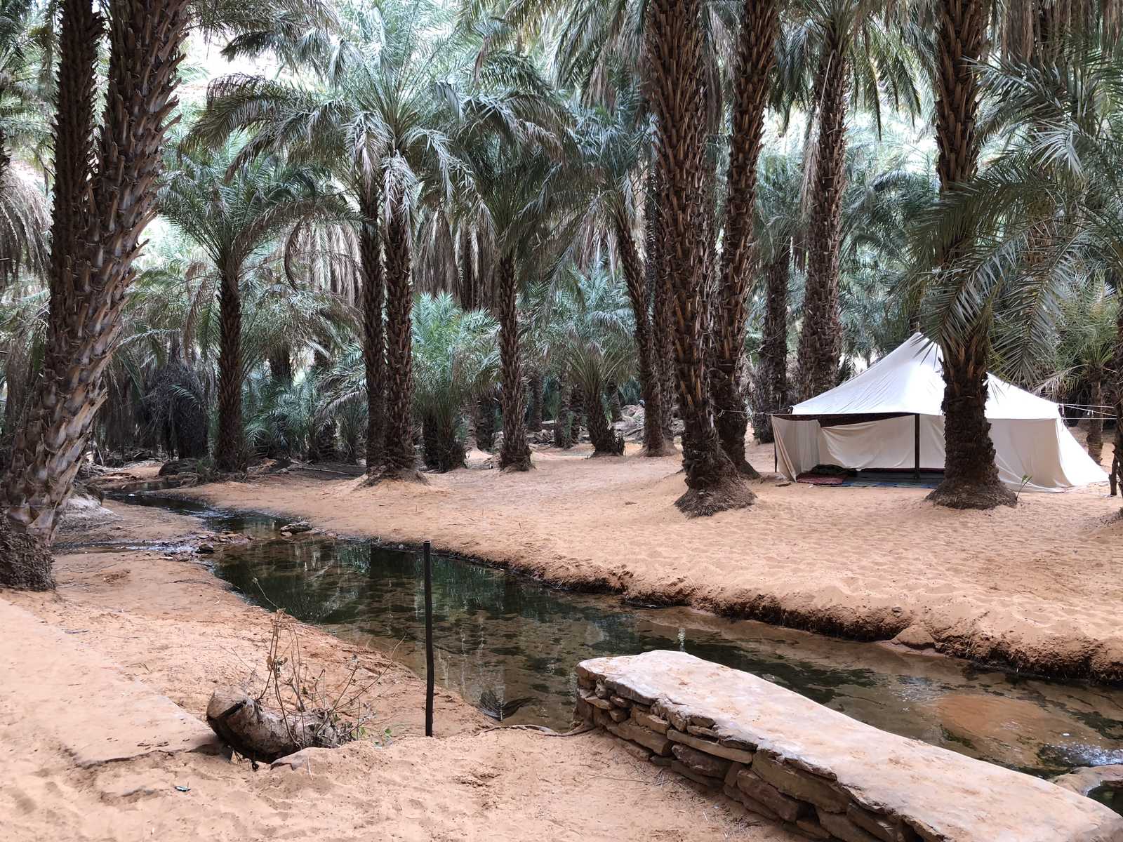 Oasis de Terjit, Mauritanie © Martin Laprade Nicolas
