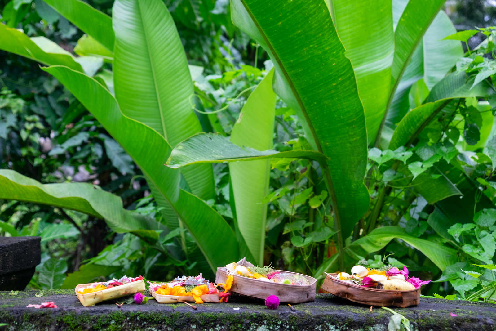 Offrandes sur un temple à Ubud en Indonésie © Renaud Jousselin