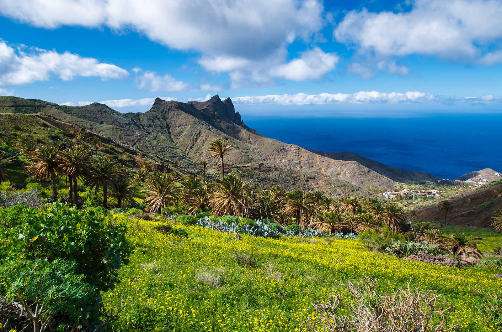 Panorama sur une montagne tropicale de l'île de la Gomera © Pkazmierczak