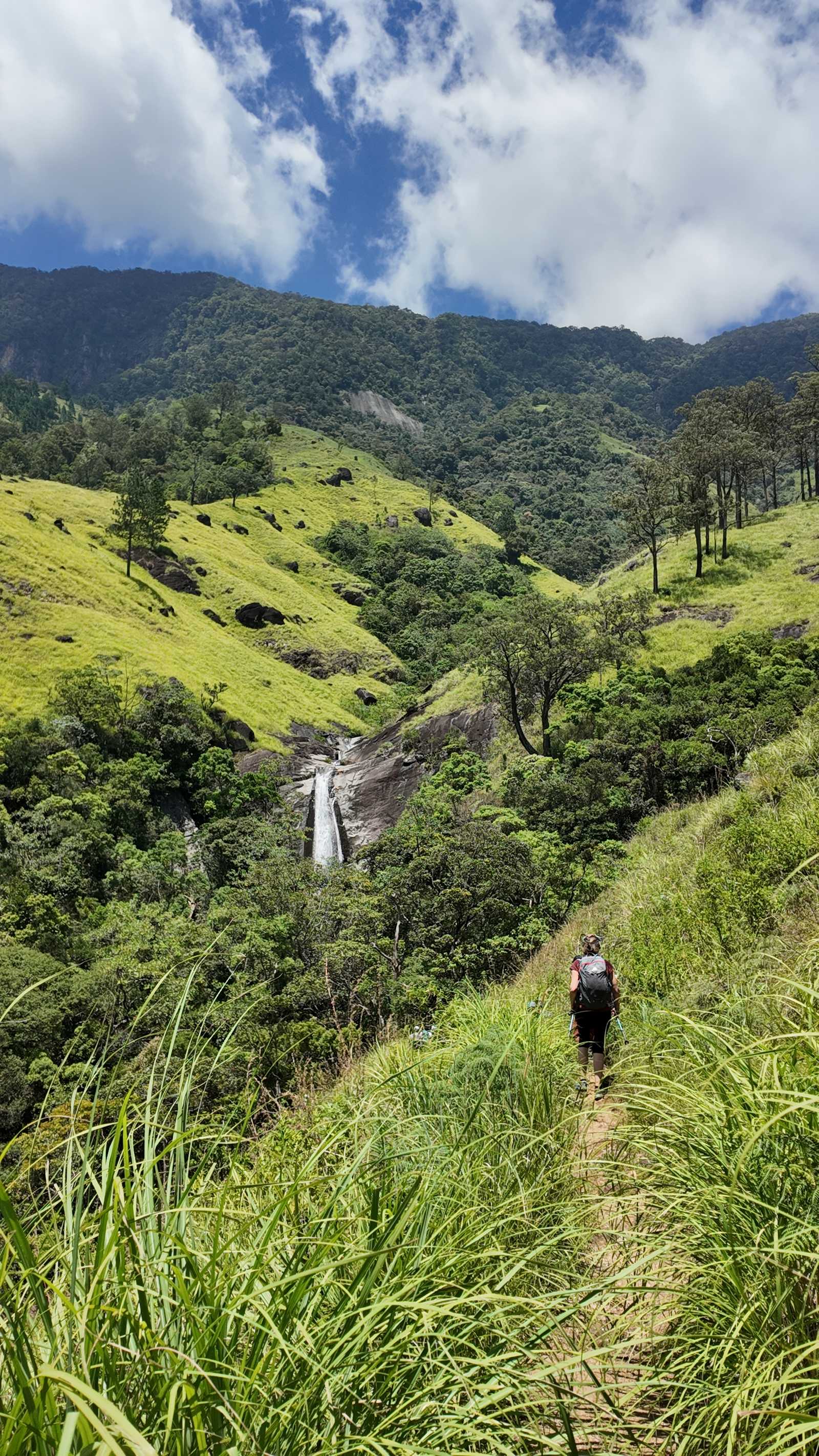 Parc national de Hortons Plains au Sri Lanka © Levasseur Emma