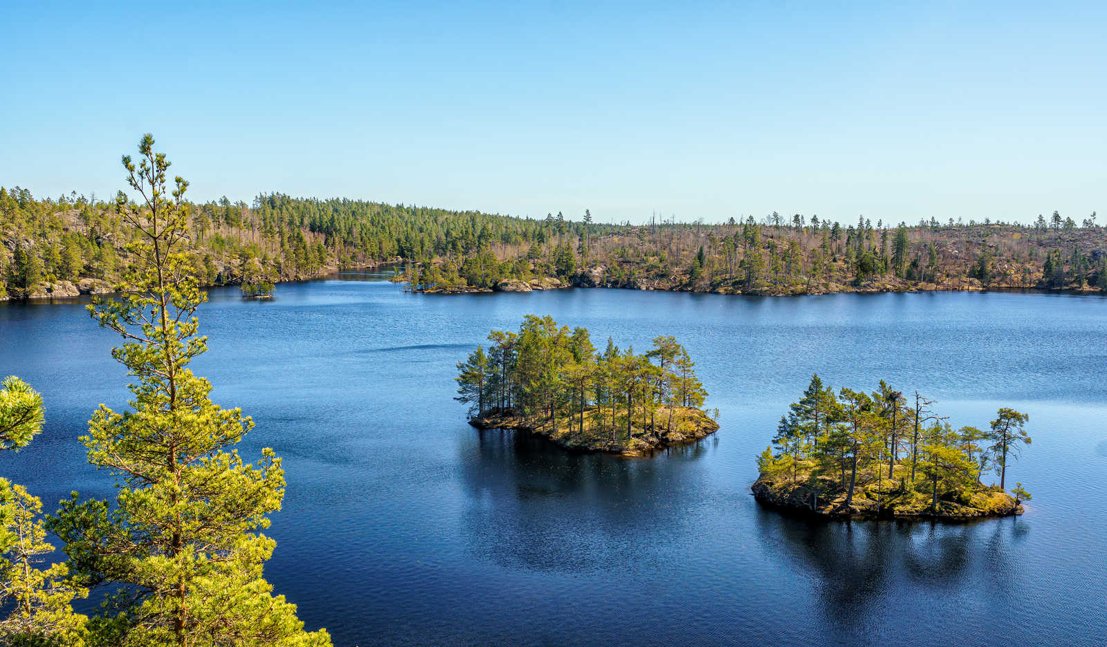 Parc national de Tyresta © Allan