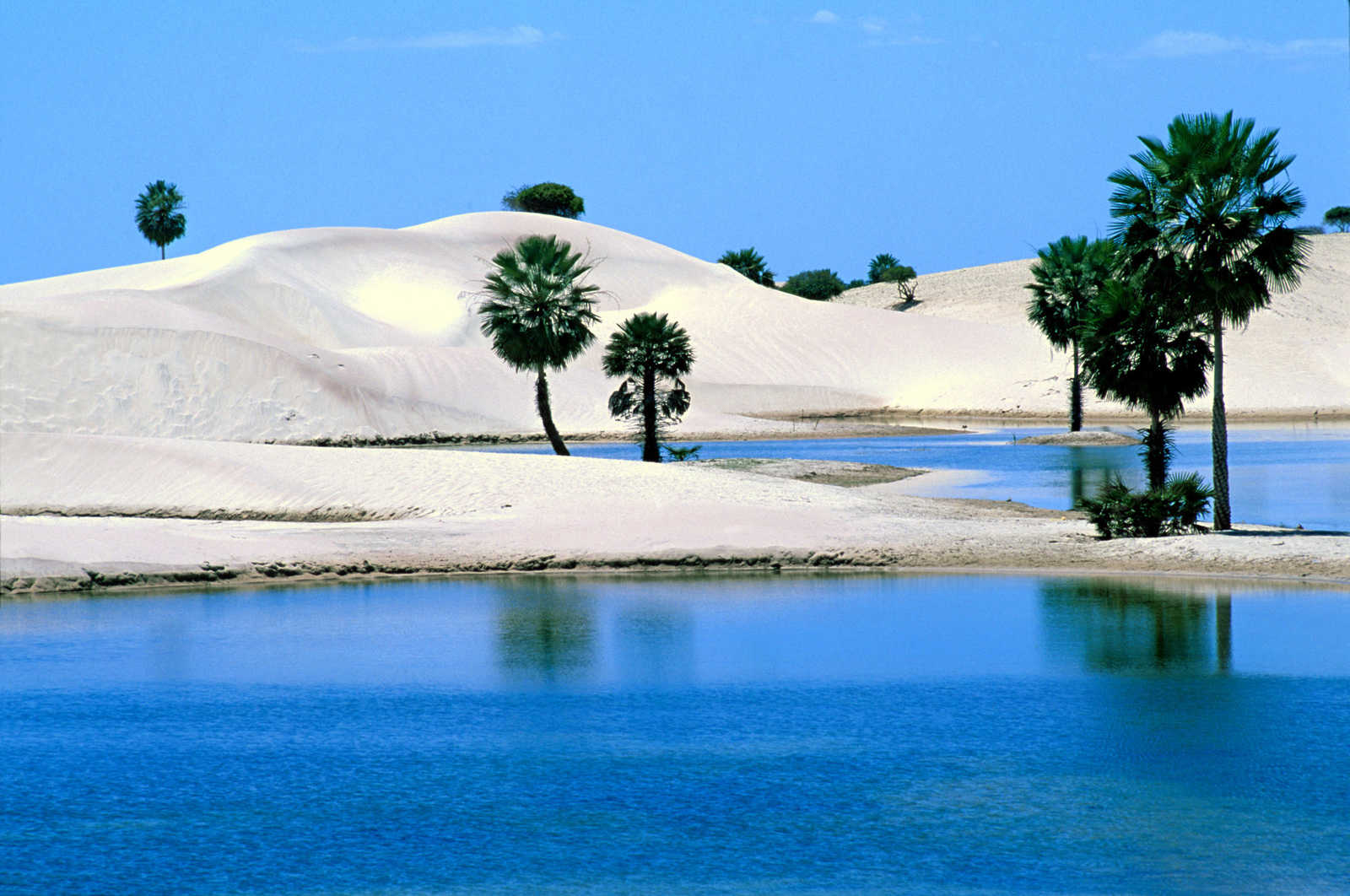 Image Dunes, lagunes et Oasis du Nordeste