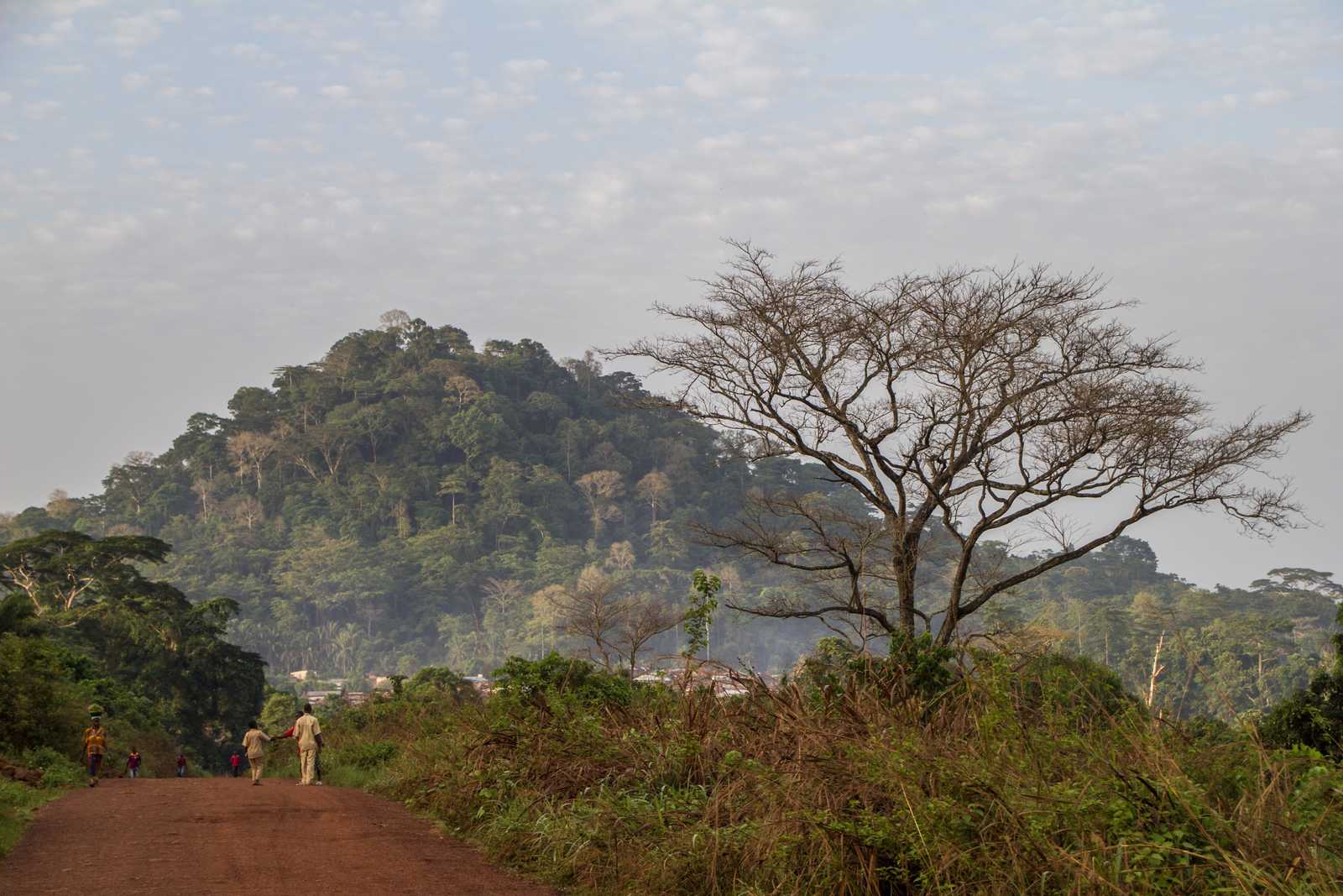 paysage-biodiversite-guinee-adobe-torsten-pursche © Pursche Torsten